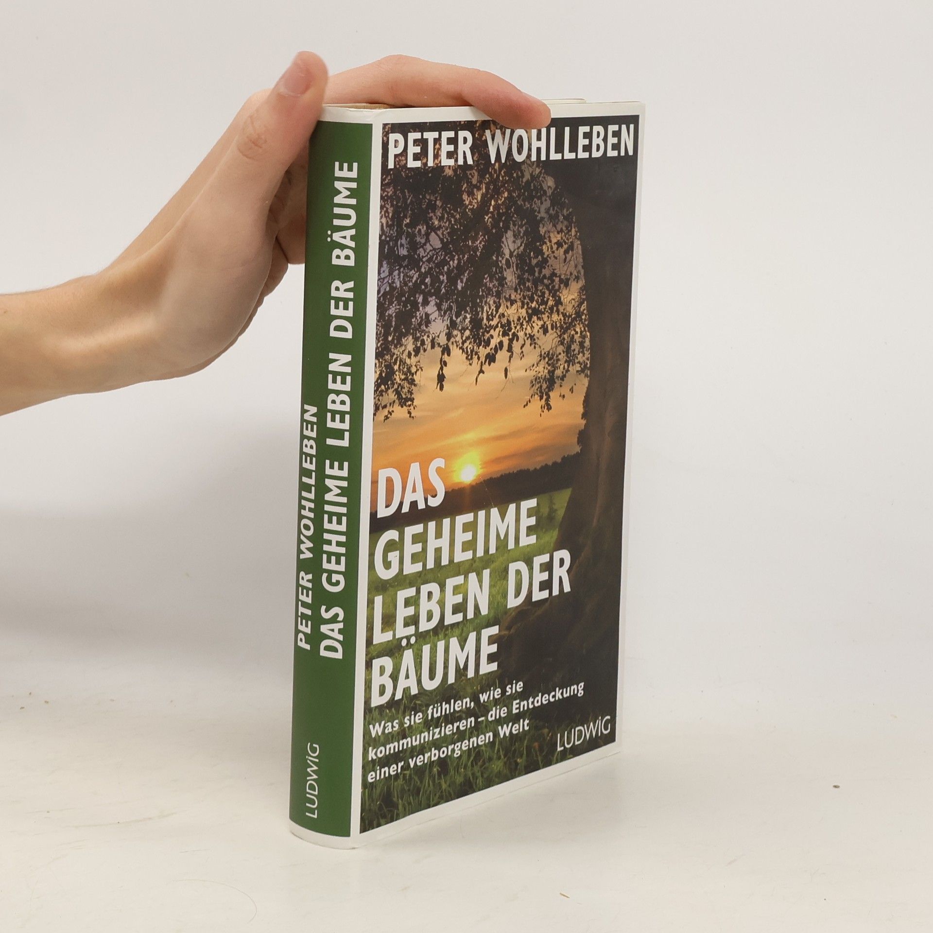 Peter Wohlleben Das geheime Leben der Bäume