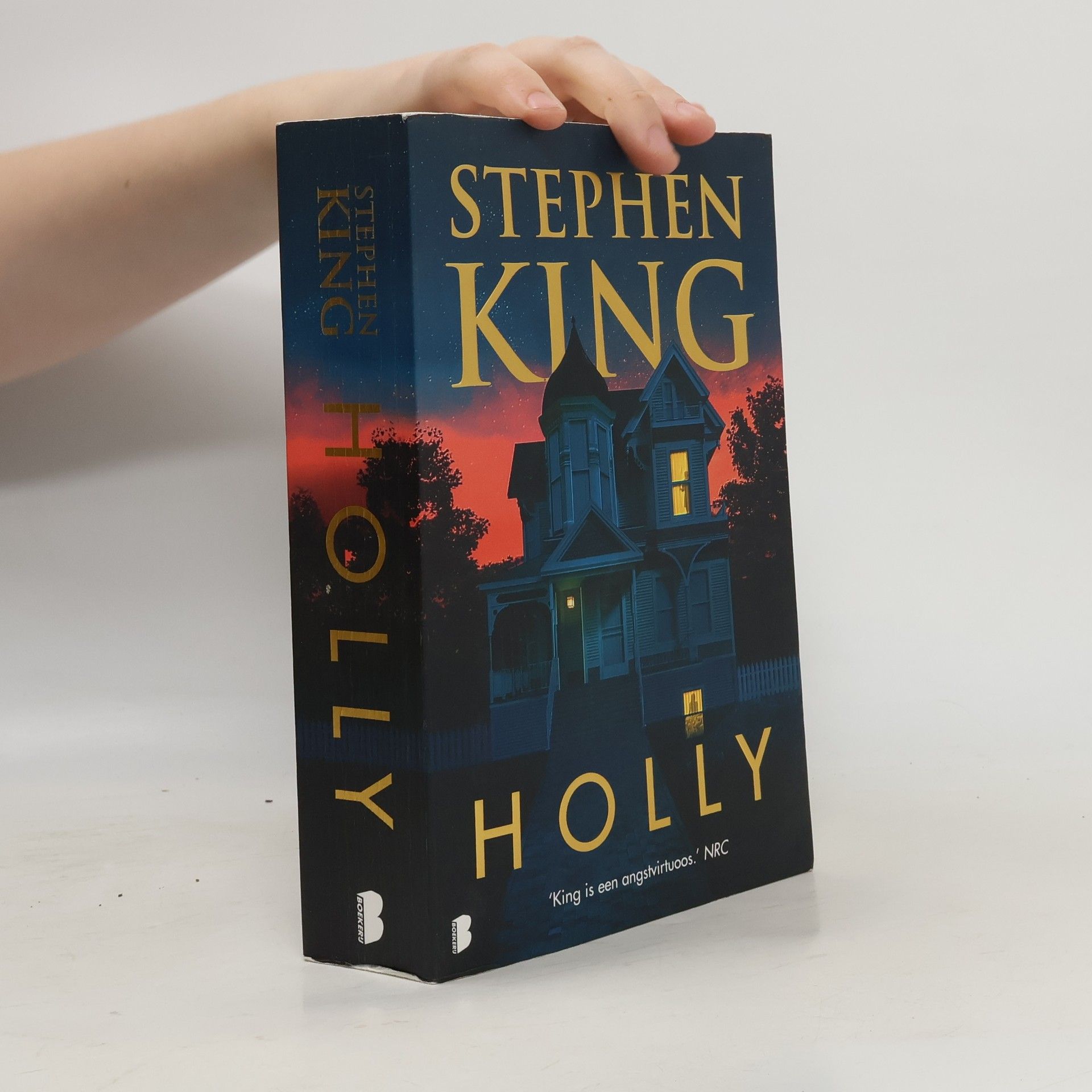 Stephen King Holly