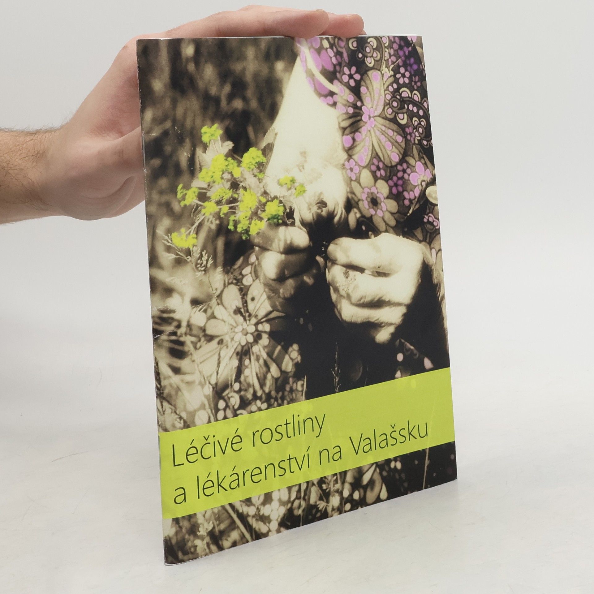 Léčivé rostliny a lékárenství na Valašsku