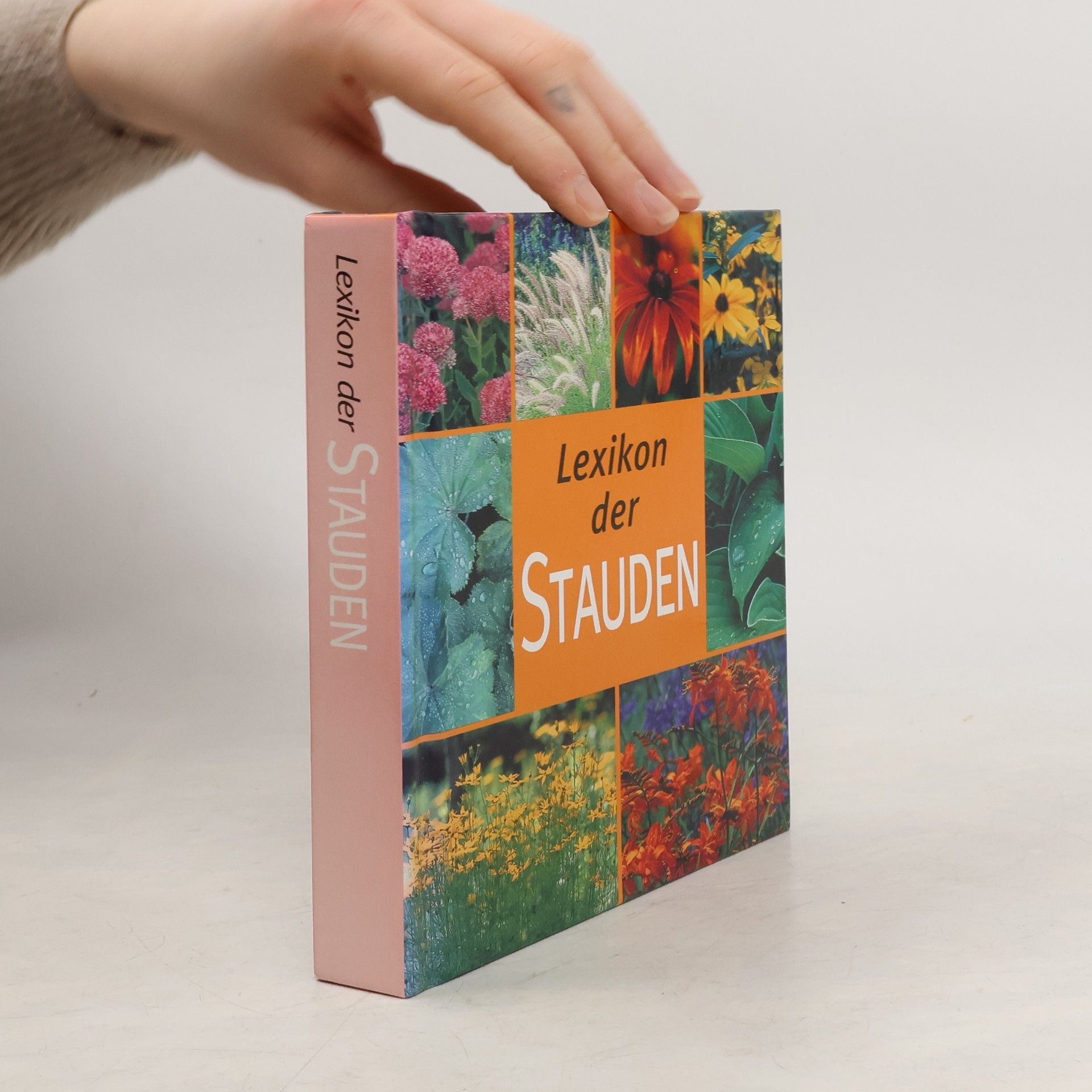 Monika Zilliken Lexikon der Stauden