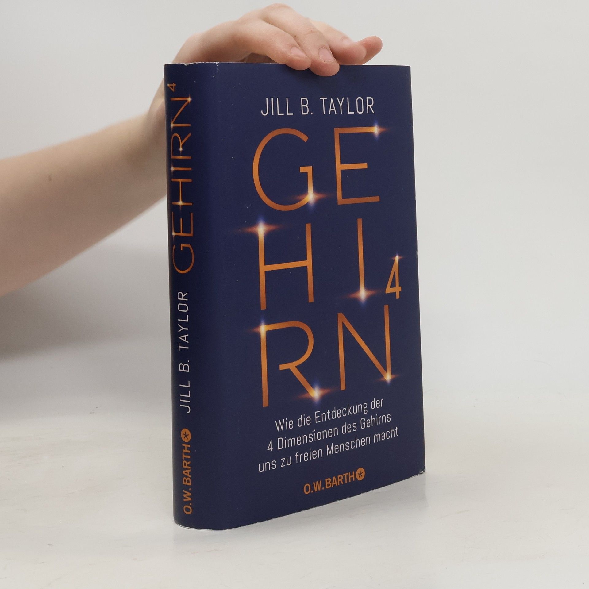 Jill Bolte Taylor Gehirn^4