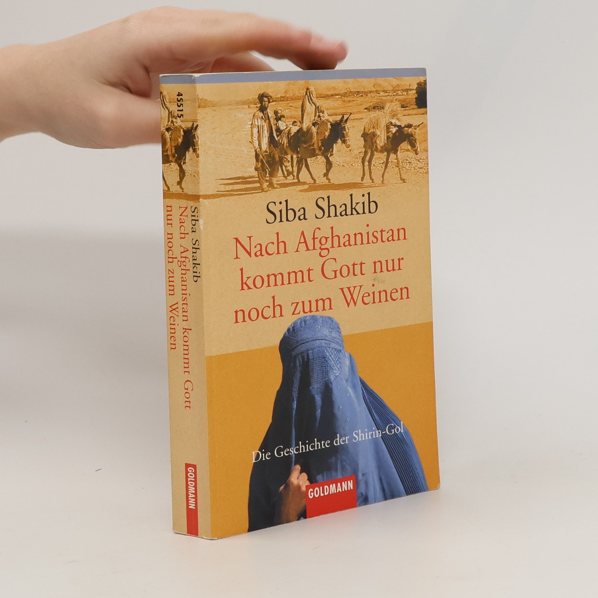 Síba Shakib Nach Afghanistan kommt Gott nur noch zum Weinen