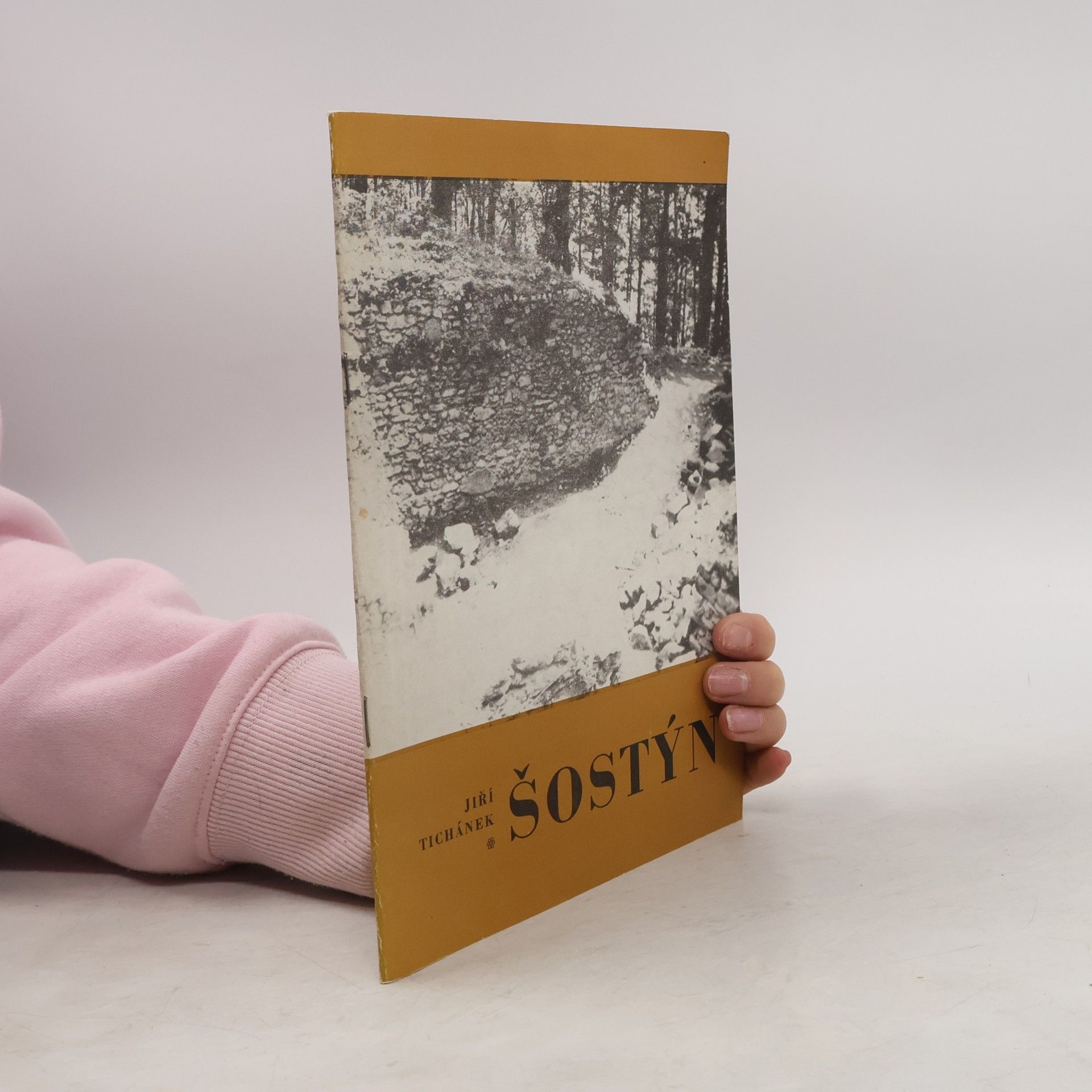 Jiří Tichánek Šostýn