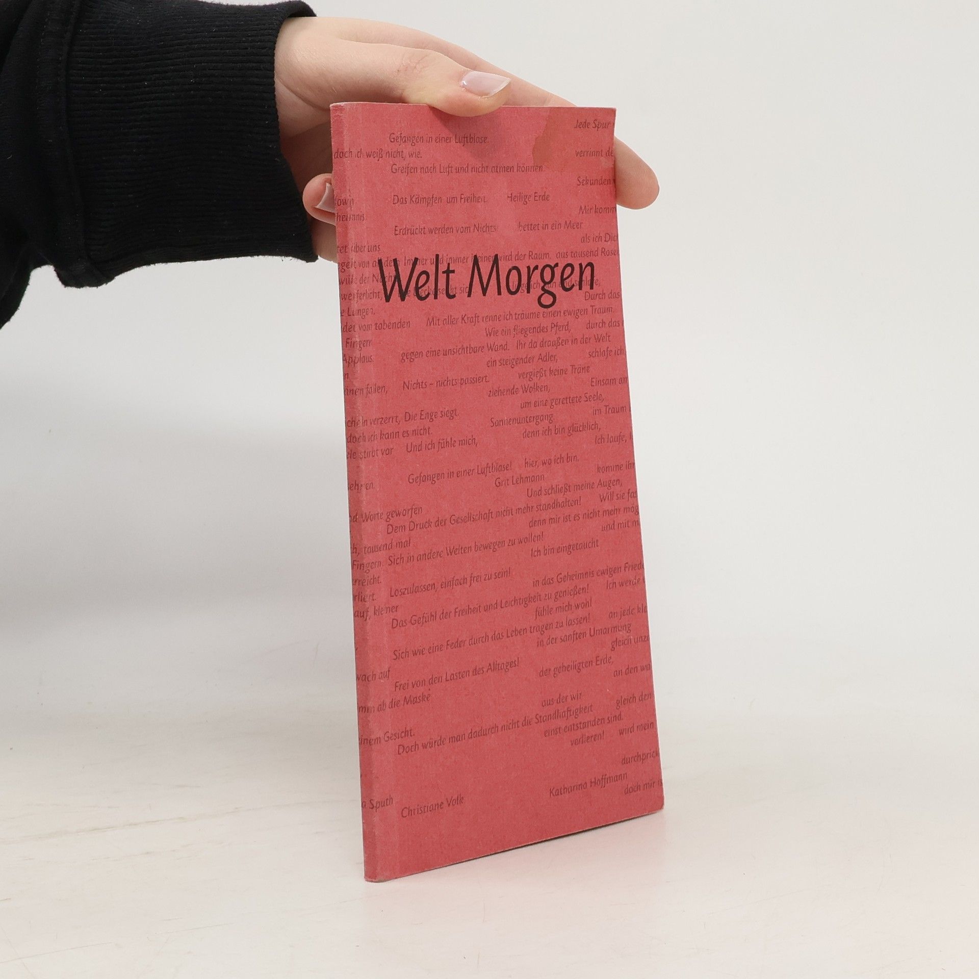 Autorenkollektiv Welt Morgen