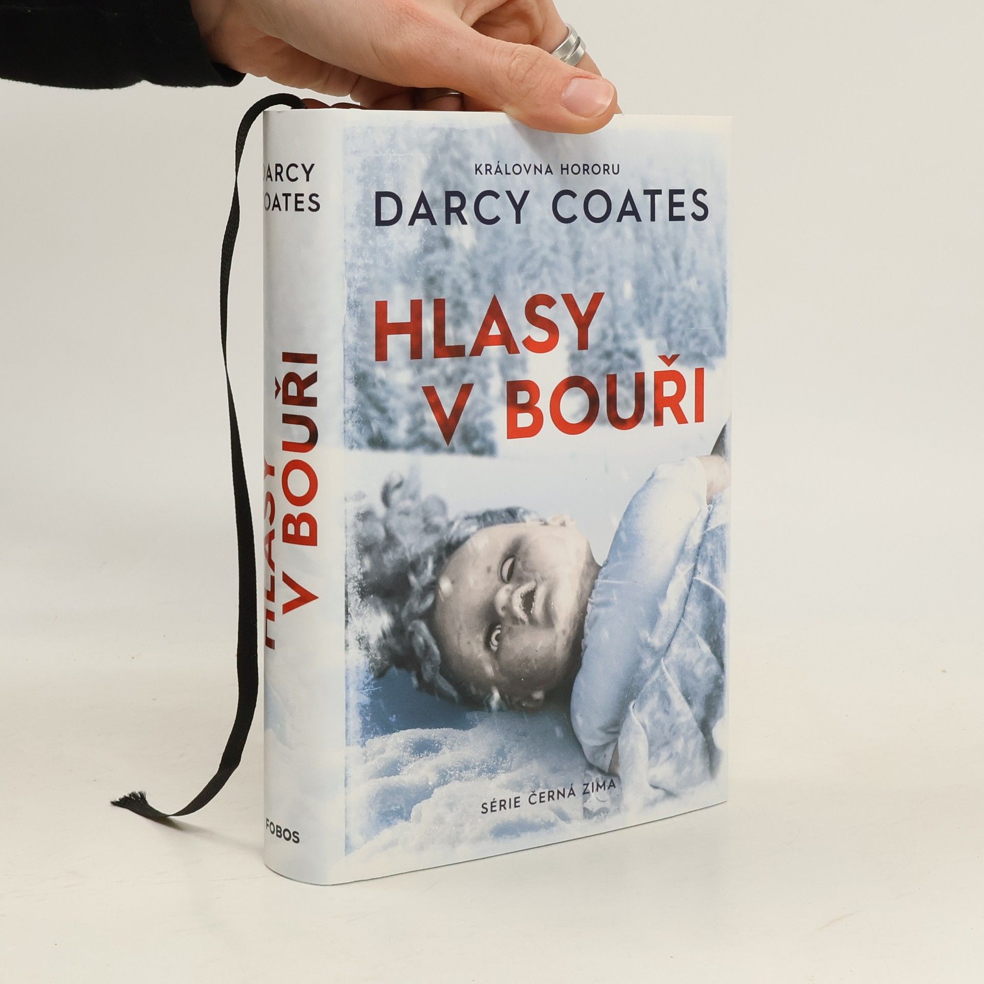 Darcy Coates Hlasy v bouři