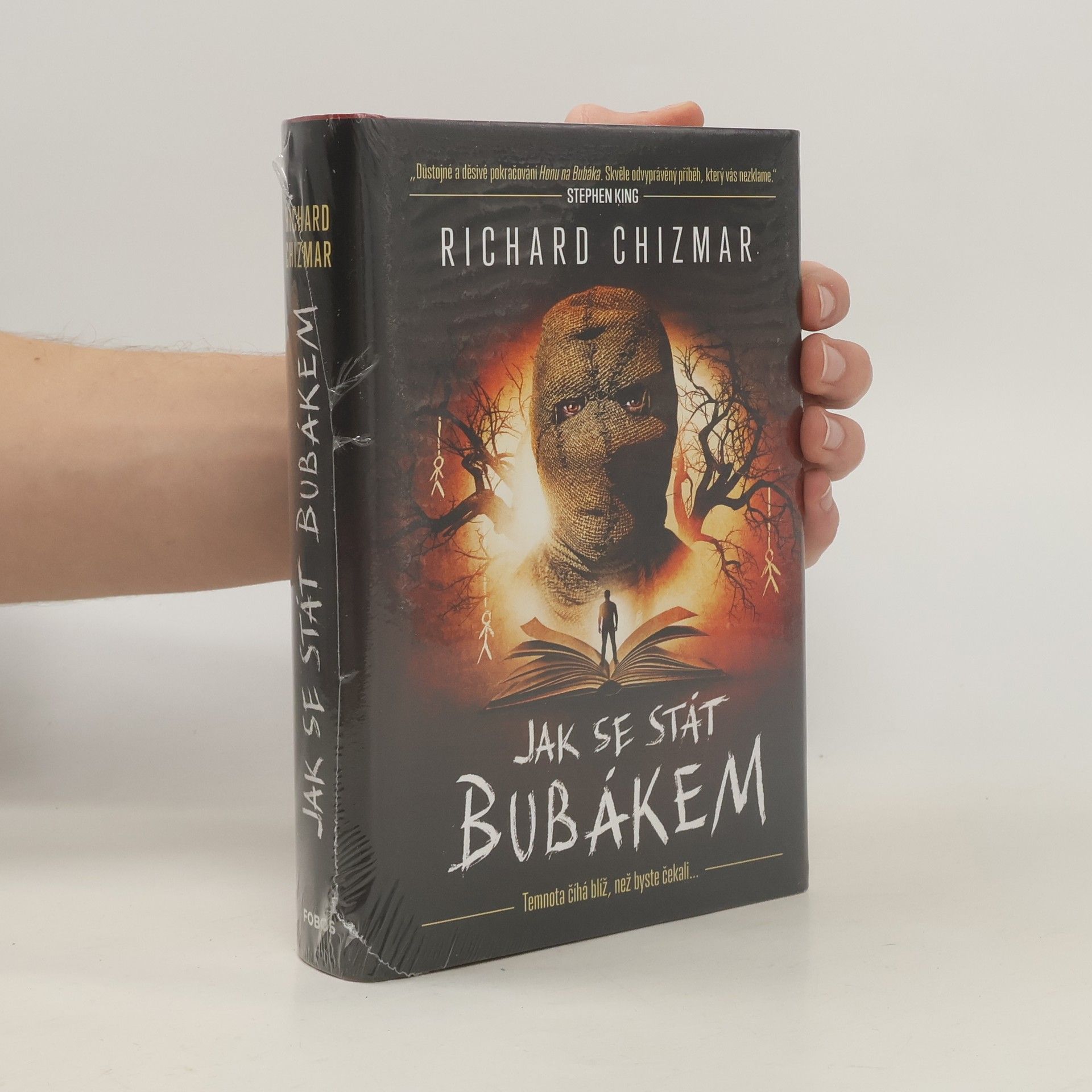 Jak se stát Bubákem