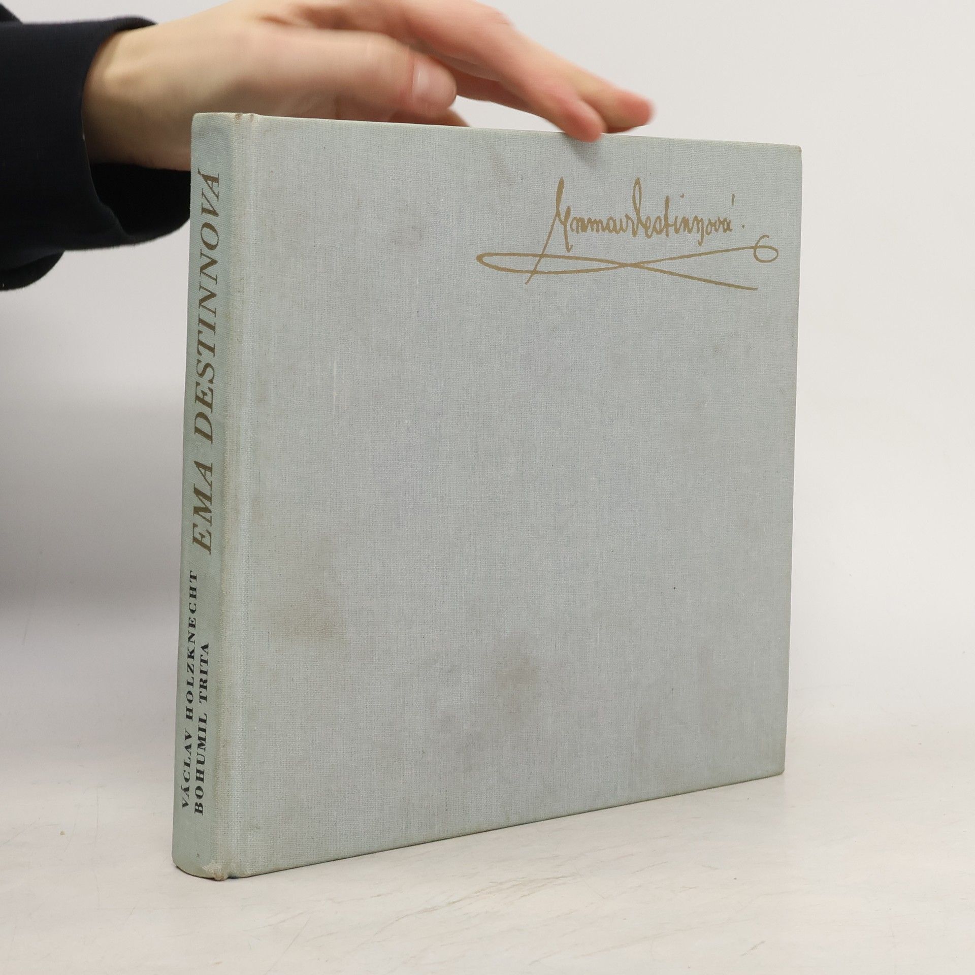 Václav Holzknecht Ema Destinnová