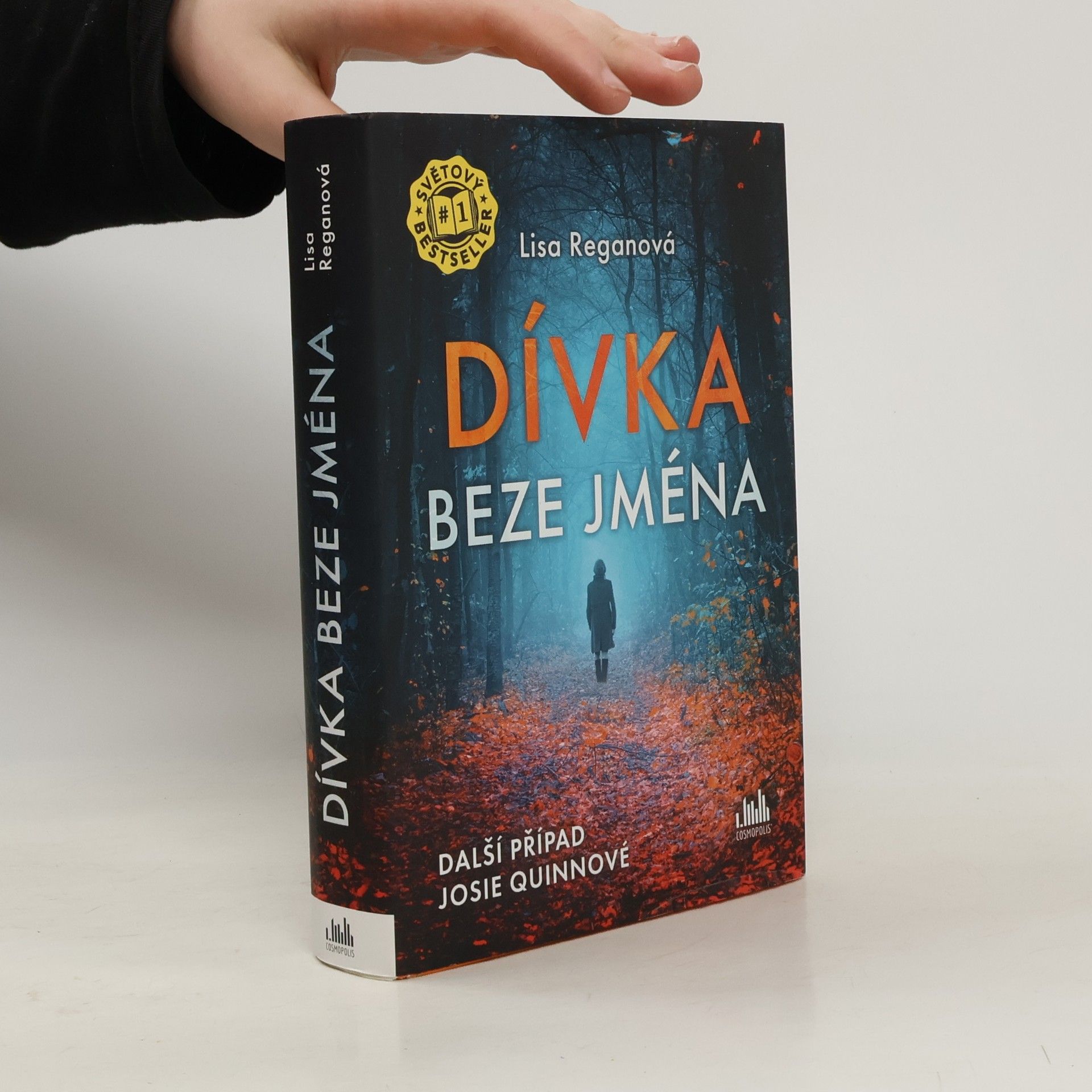 Lisa Regan Dívka beze jména: Další případ Josie Quinnové