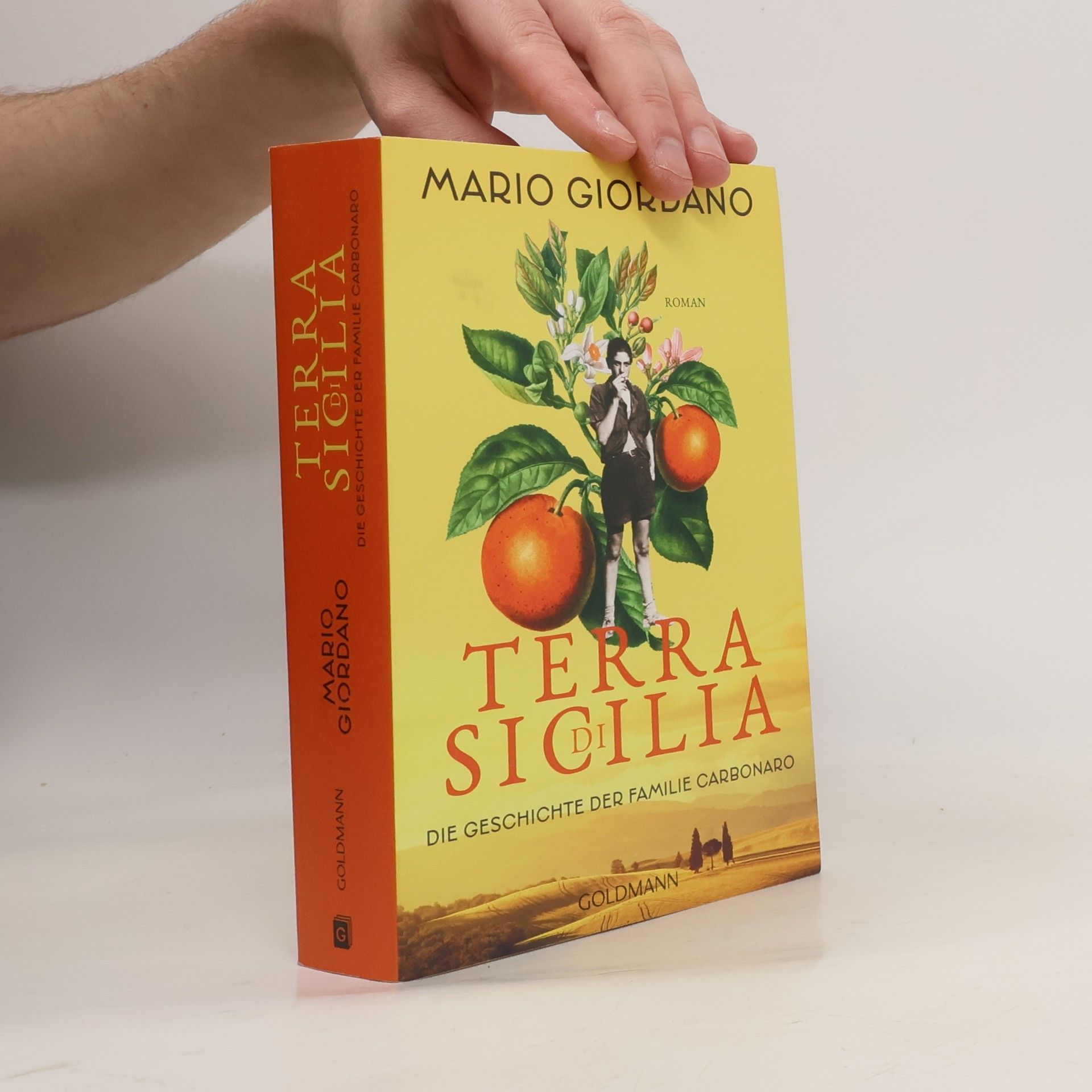 Mario Giordano Terra di Sicilia. Die Geschichte der Familie Carbonaro