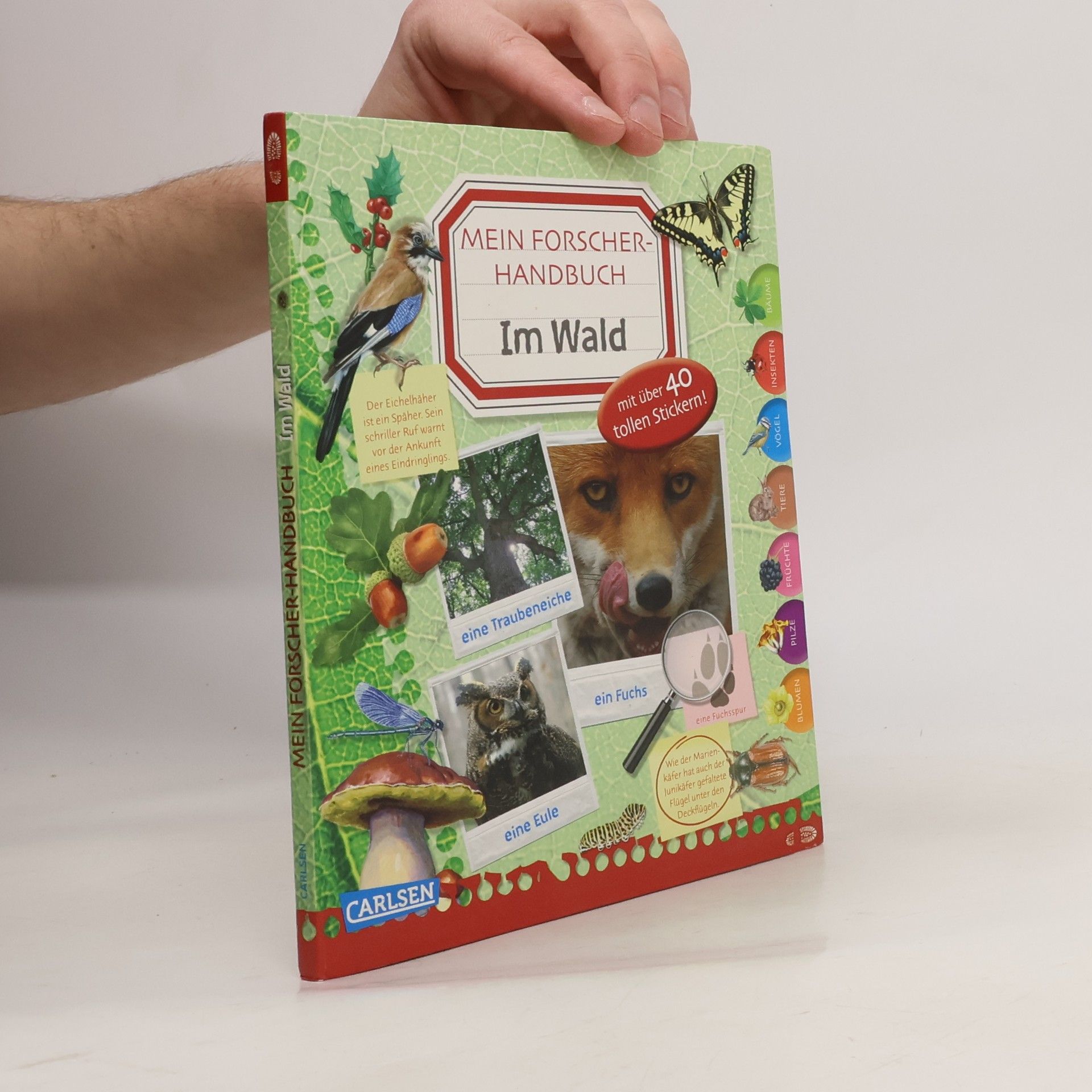 Ingrun Wimmer Mein Forscher-Handbuch - Im Wald