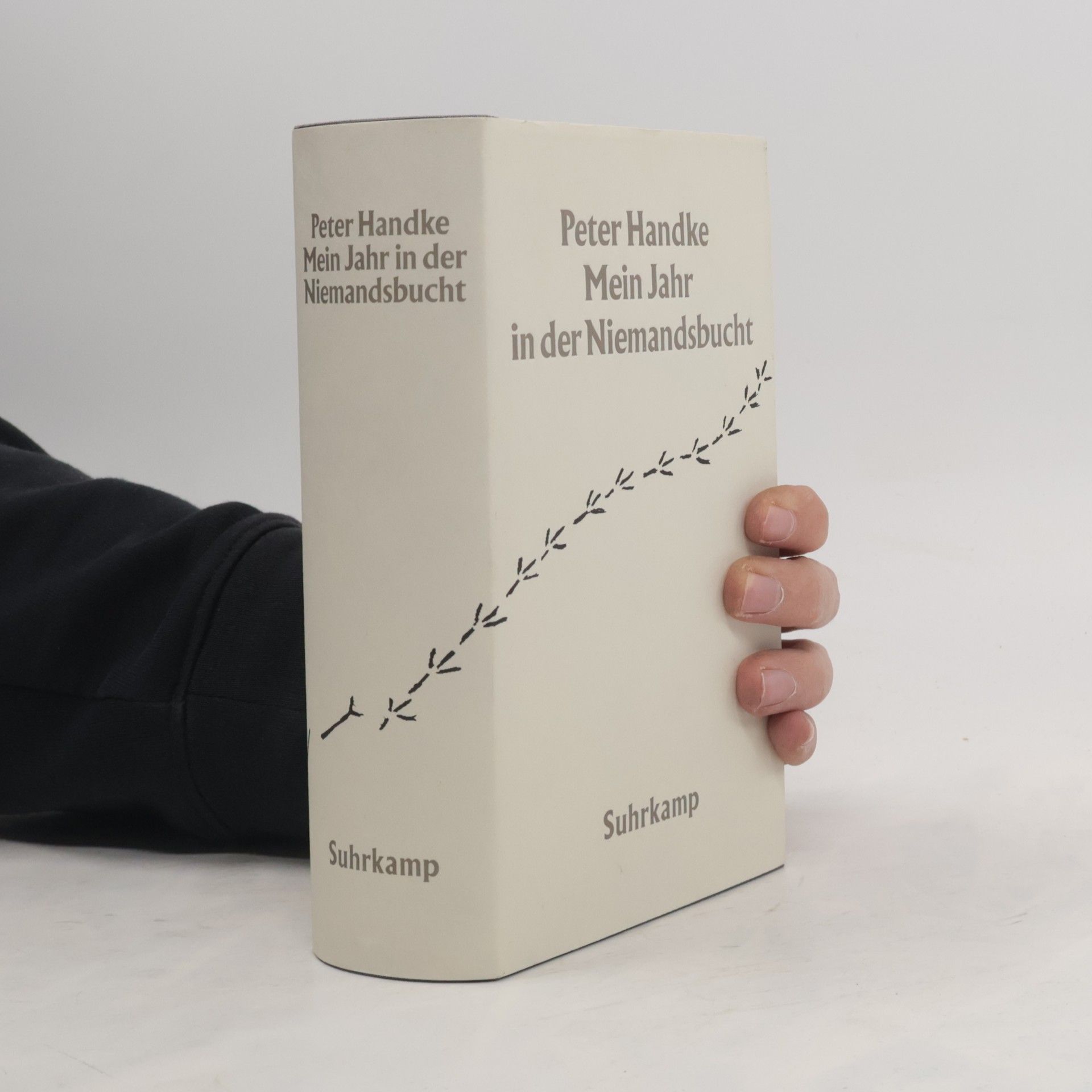 Peter Handke Mein Jahr in der Niemandsbucht