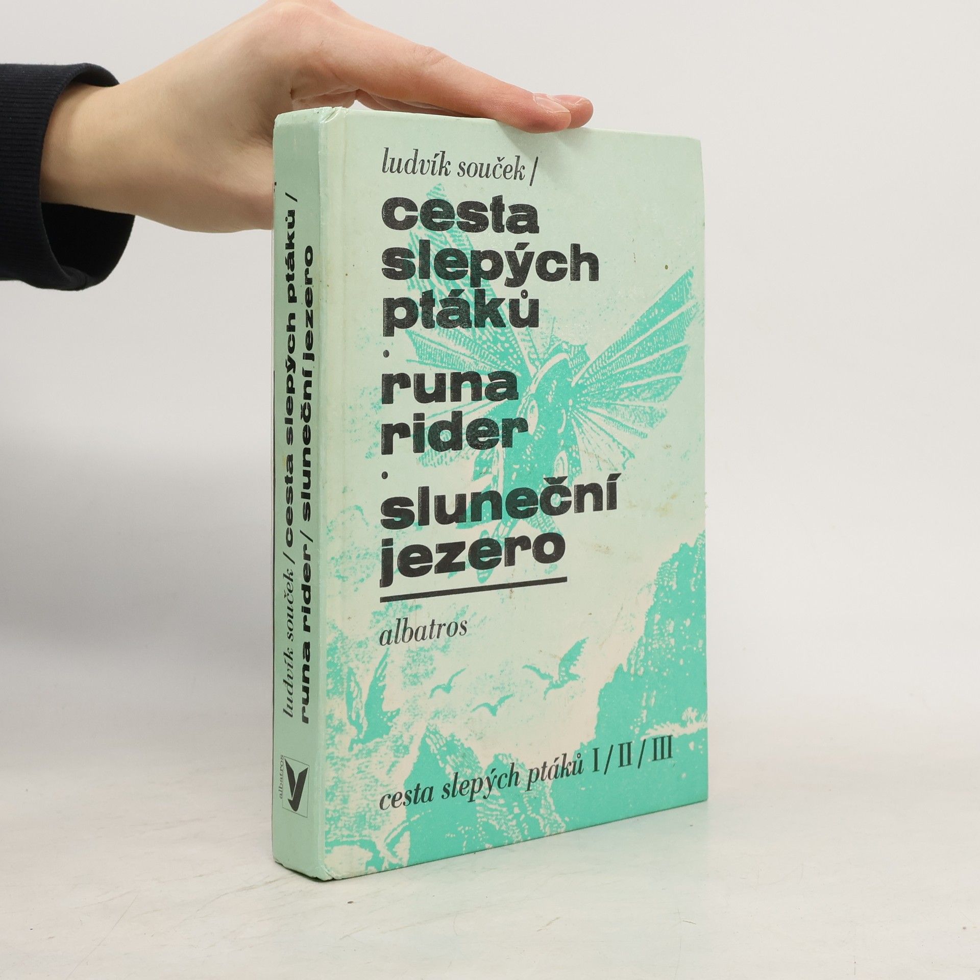 Ludvík Souček Cesta slepých ptáků, Runa rider, Sluneční jezero