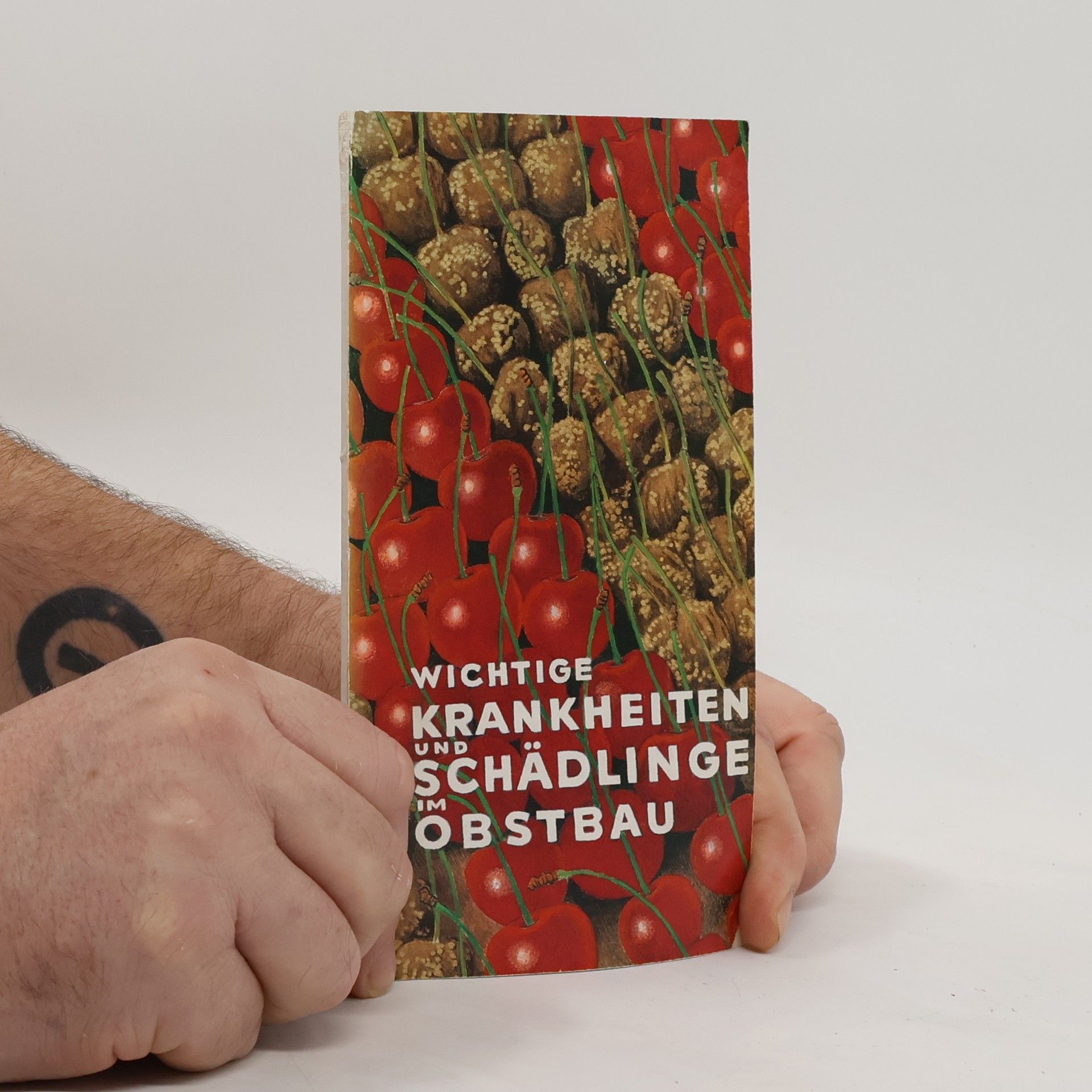 Peter Paul Kohlhaas Wichtige Krankheiten und Schädlinge im Obstbau