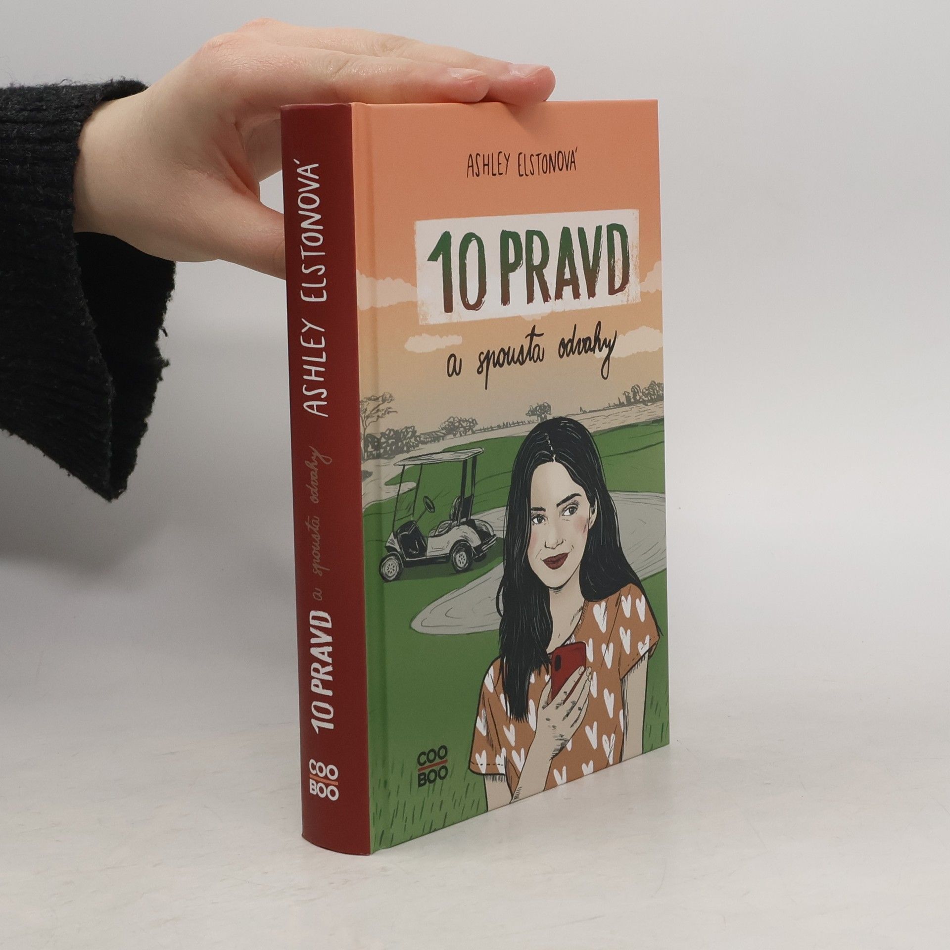 Ashley Elston 10 pravd a spousta odvahy