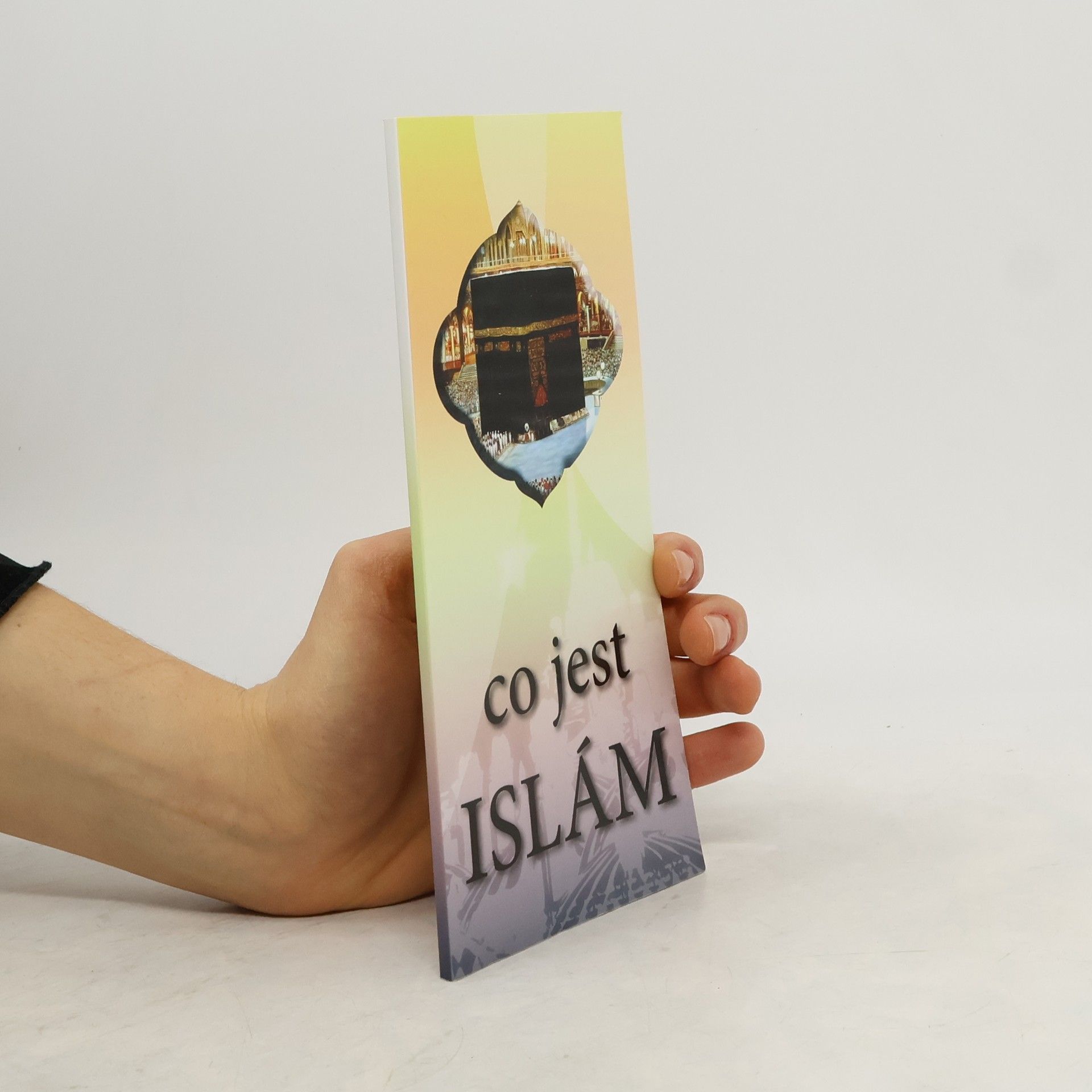 Autorenkollektiv Co jest islám?