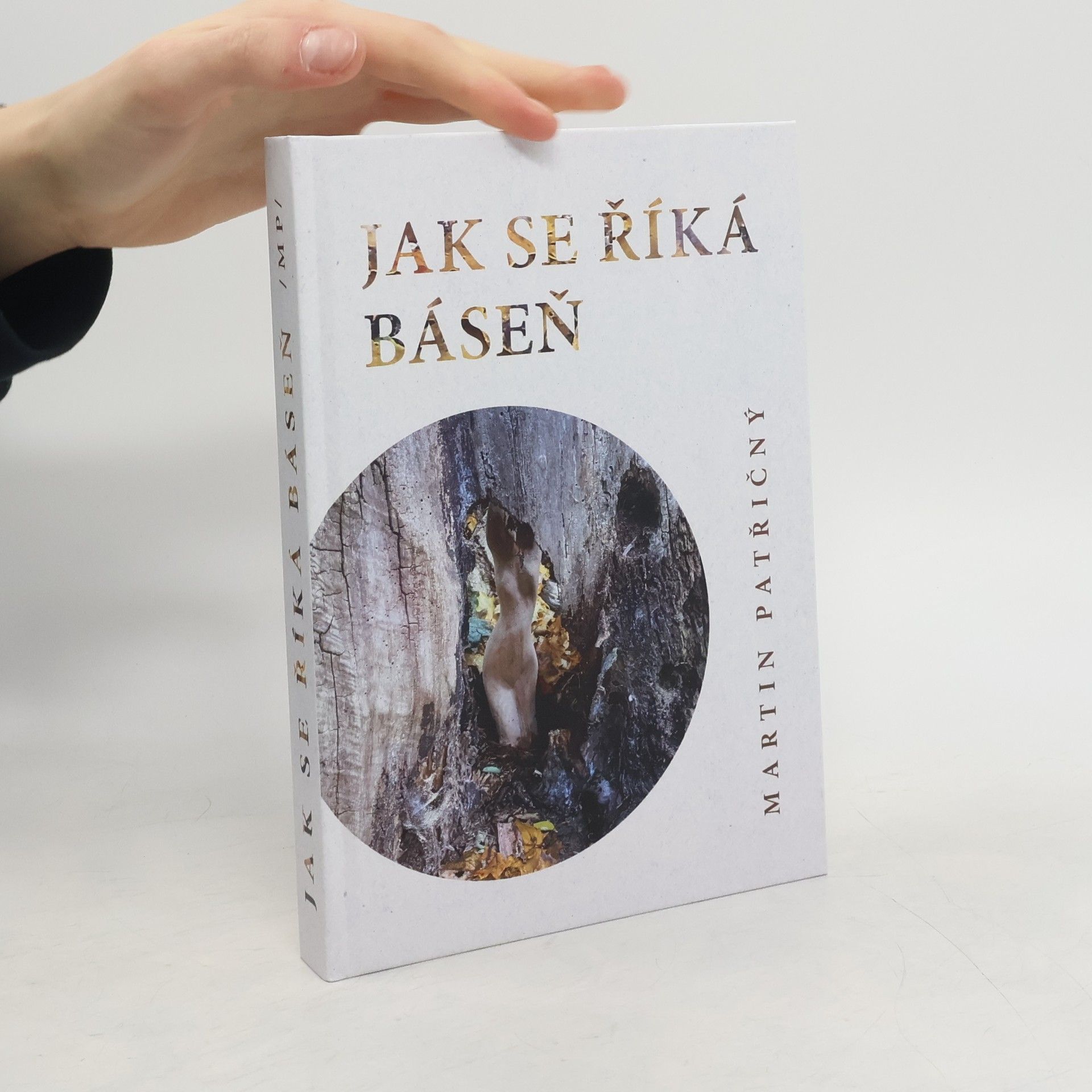 Martin Patřičný Jak se říká báseň
