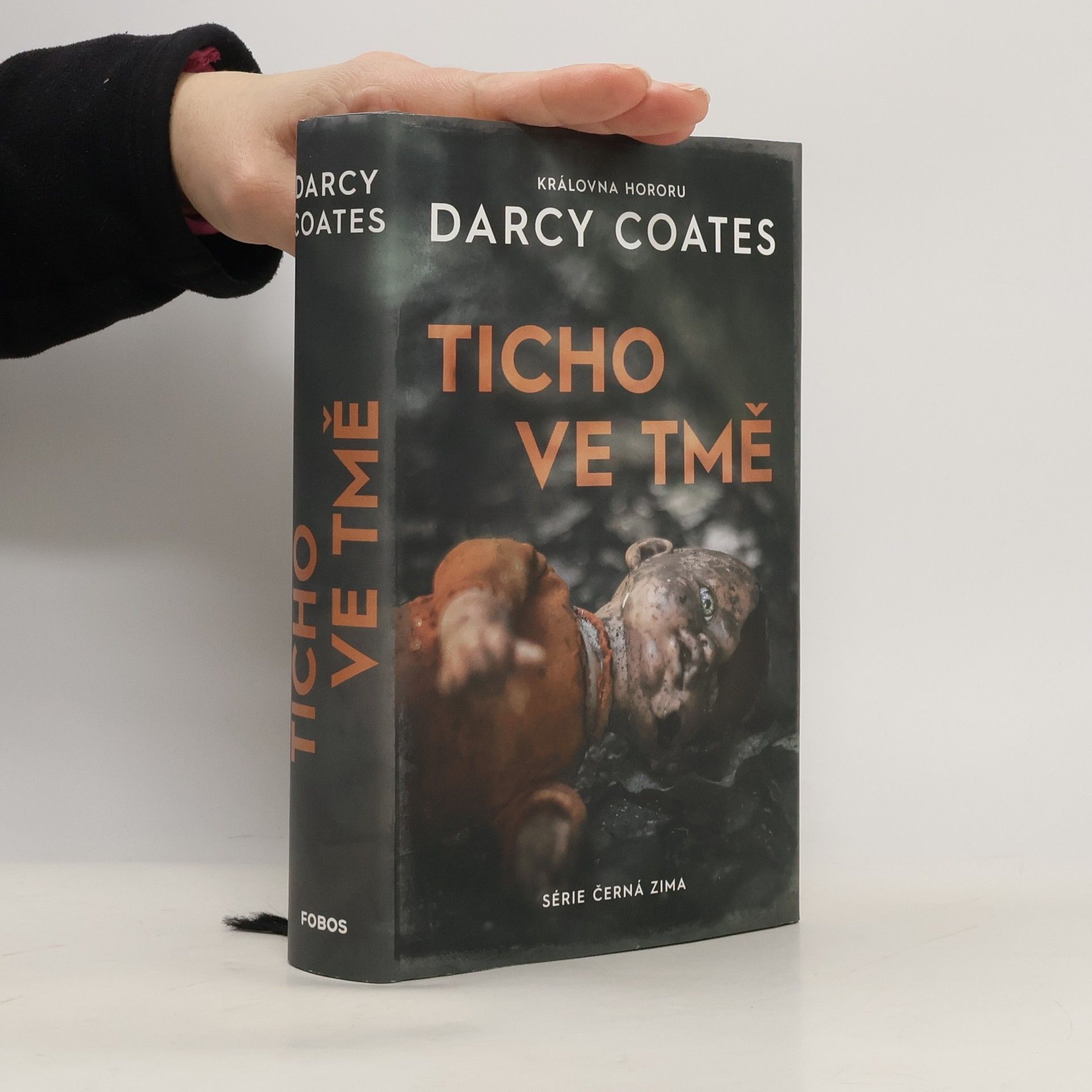 Darcy Coates Ticho ve tmě