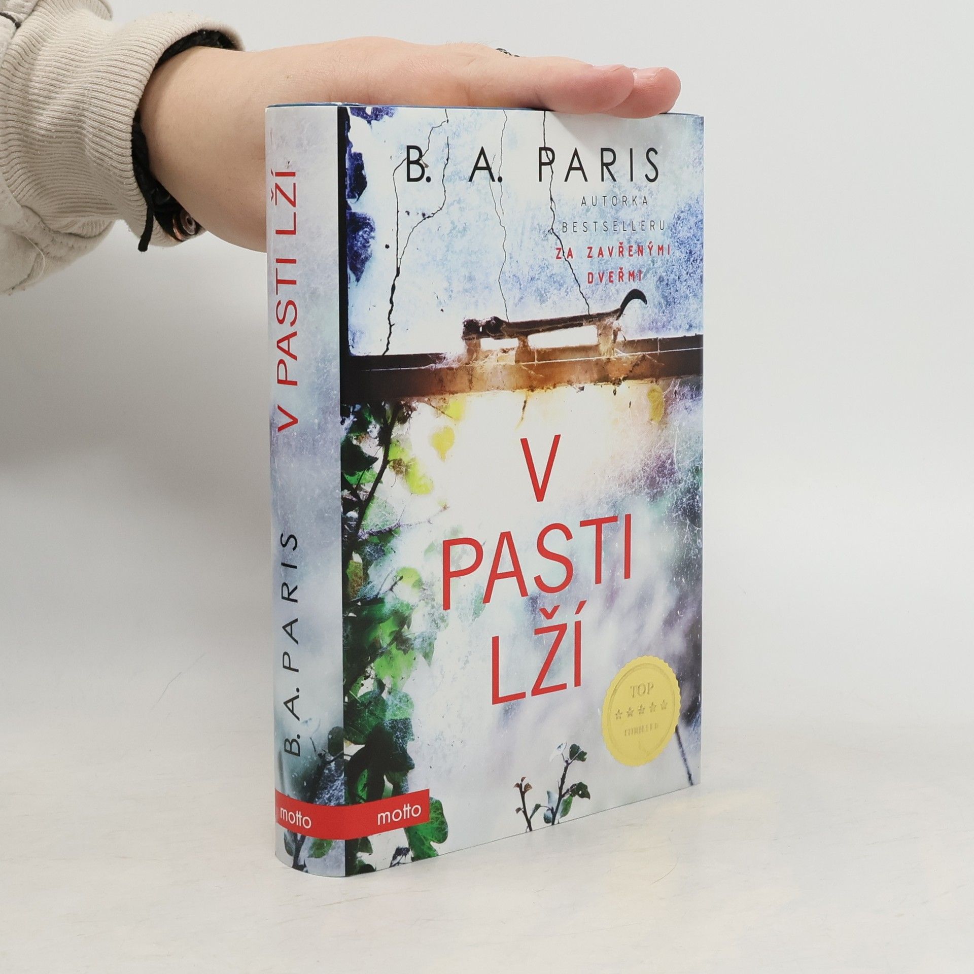 B.A. Paris V pasti lží