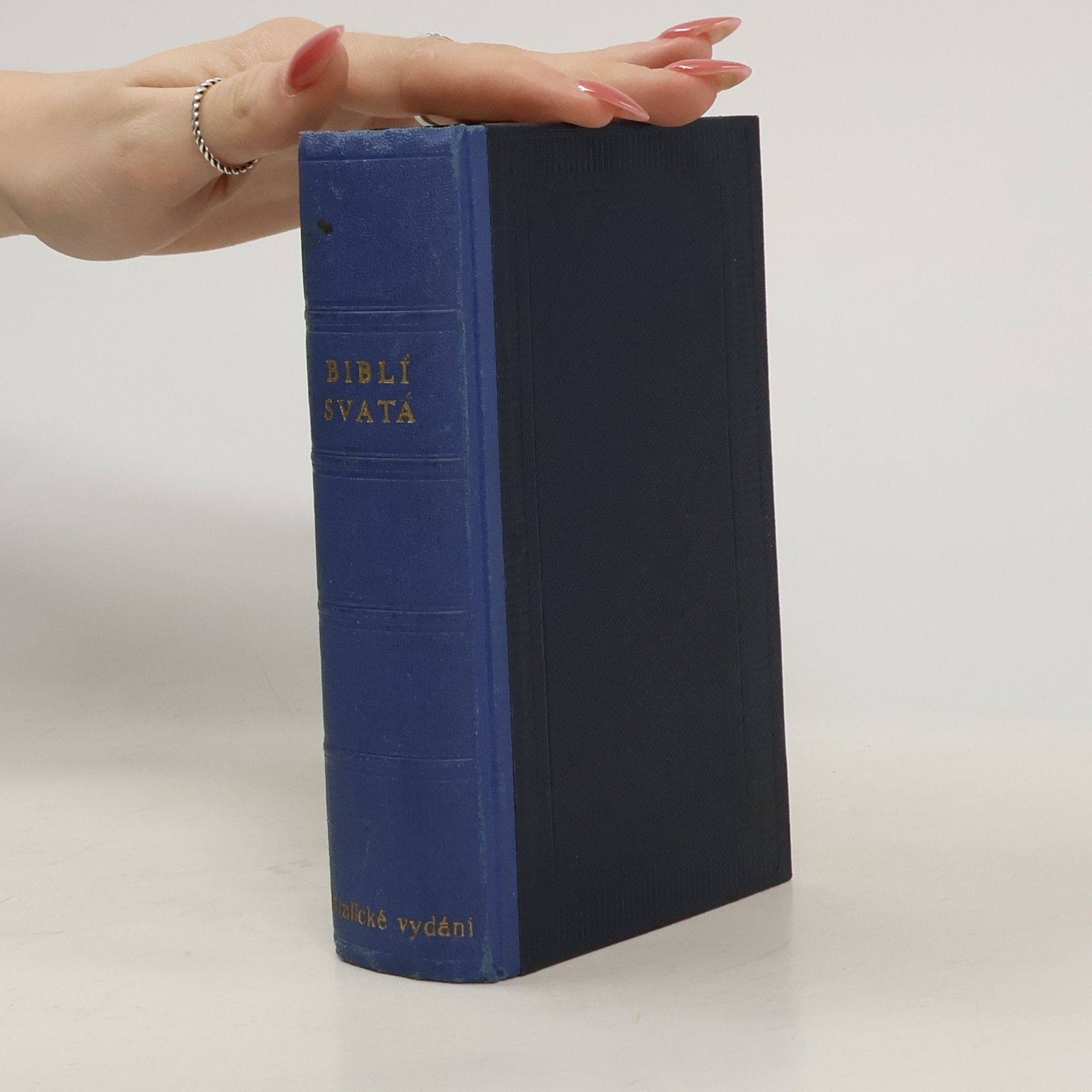 Autorenkollektiv Biblí svatá aneb všecka svatá písma starého i nového zákona