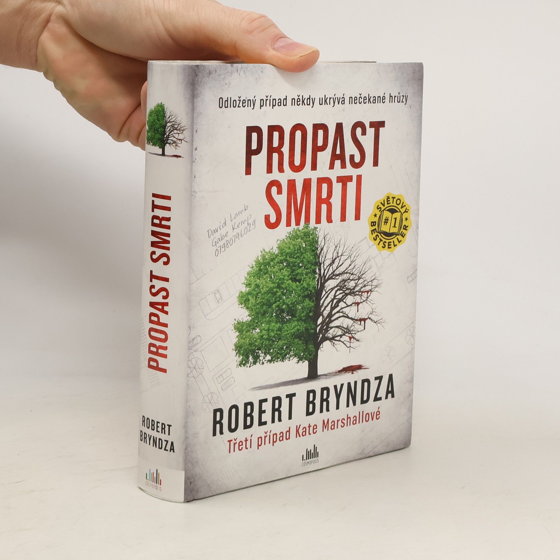 Robert Bryndza Propast smrti
