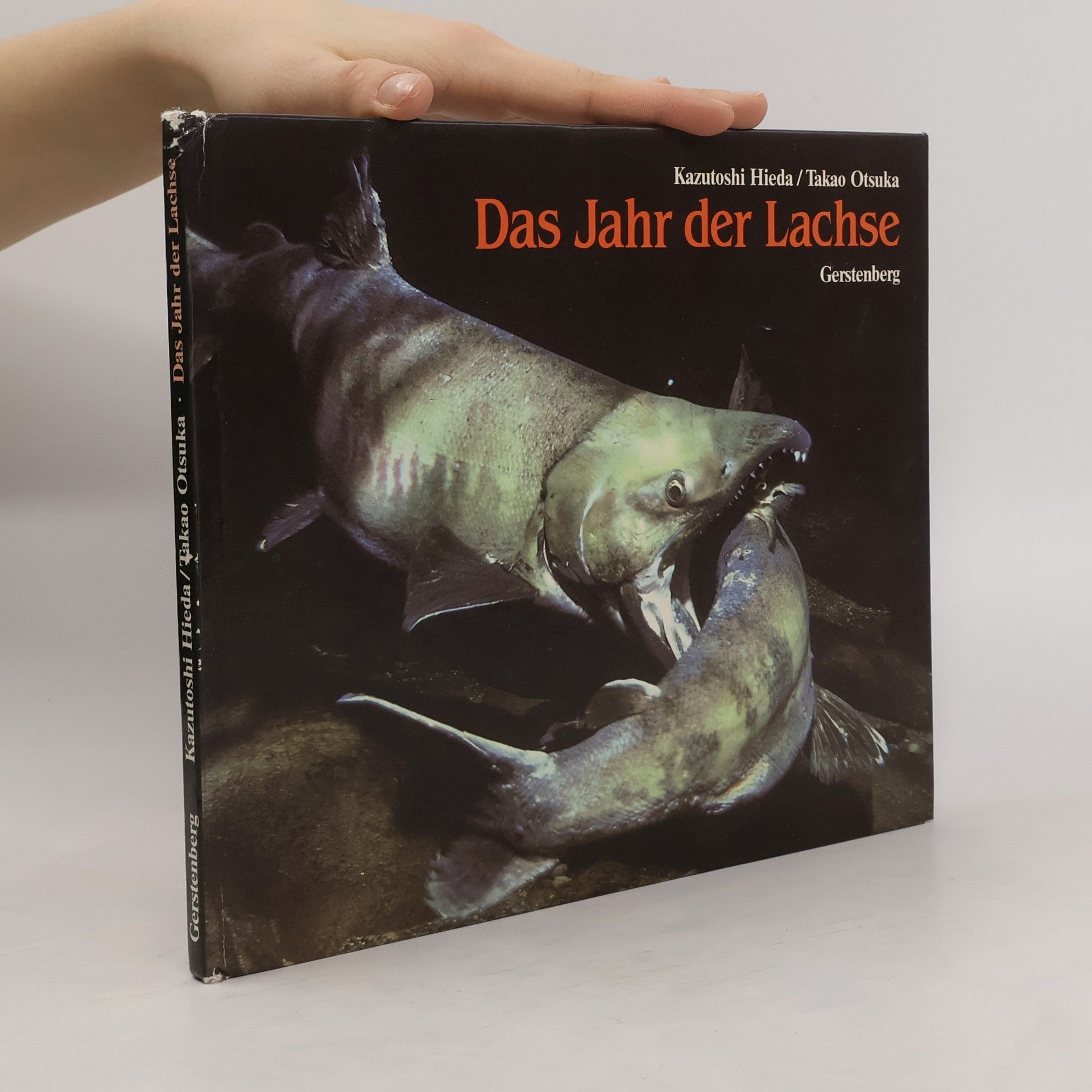 Kazutoshi Hieda Das Jahr der Lachse