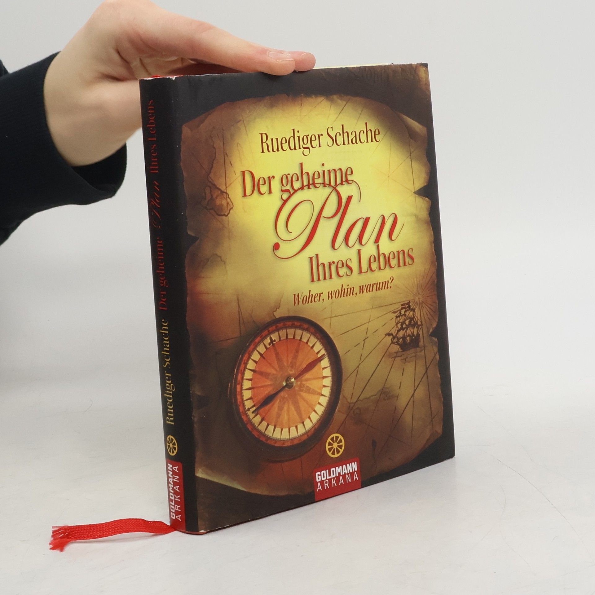 Ruediger Schache Der geheime Plan Ihres Lebens