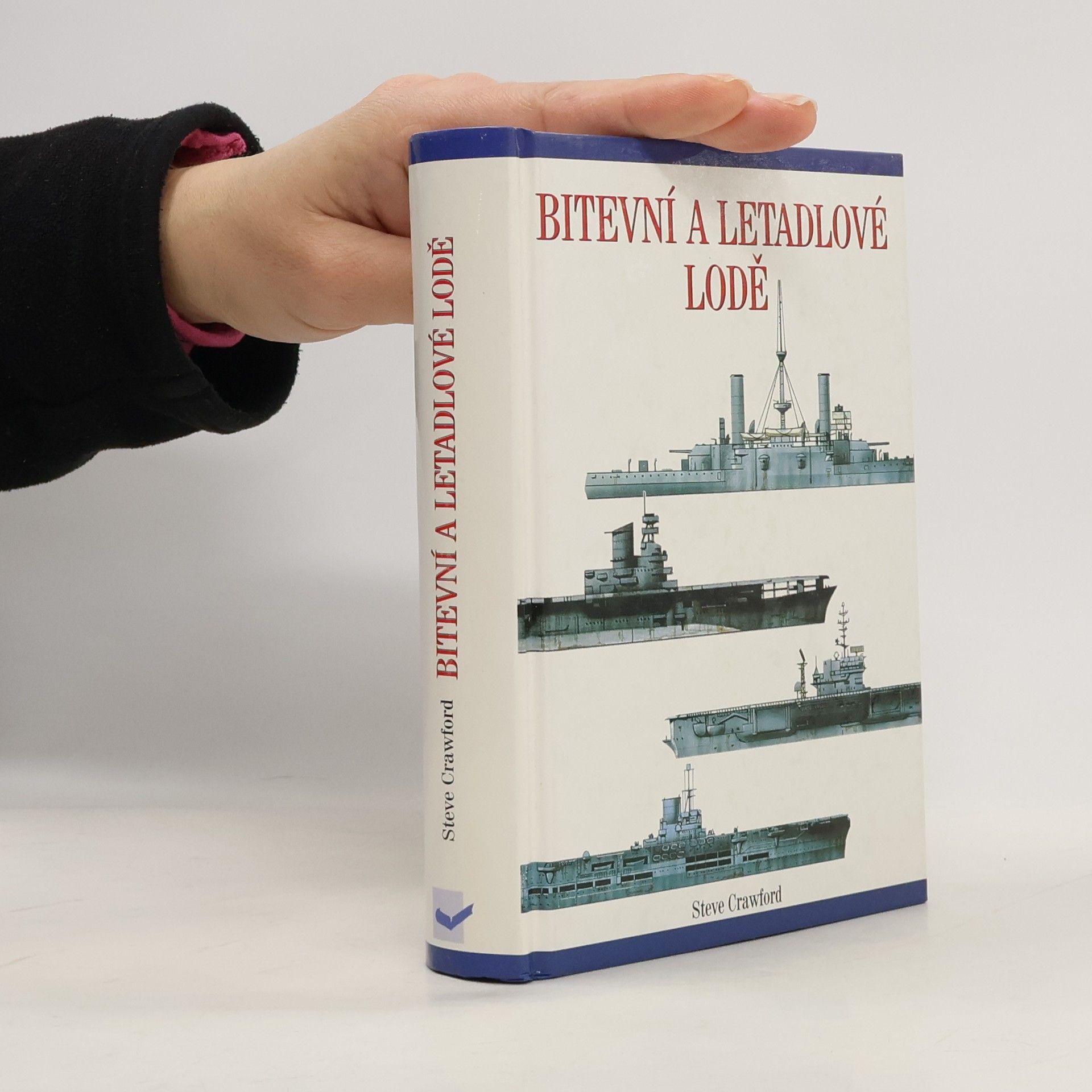 Bitevní a letadlové lodě