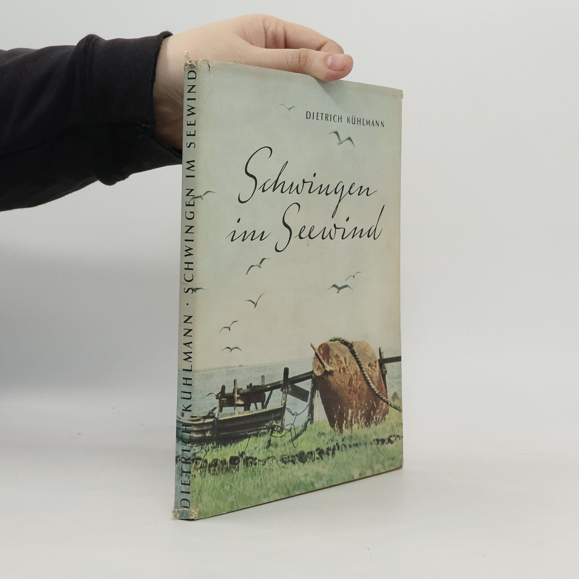 Schwingen im Seewind