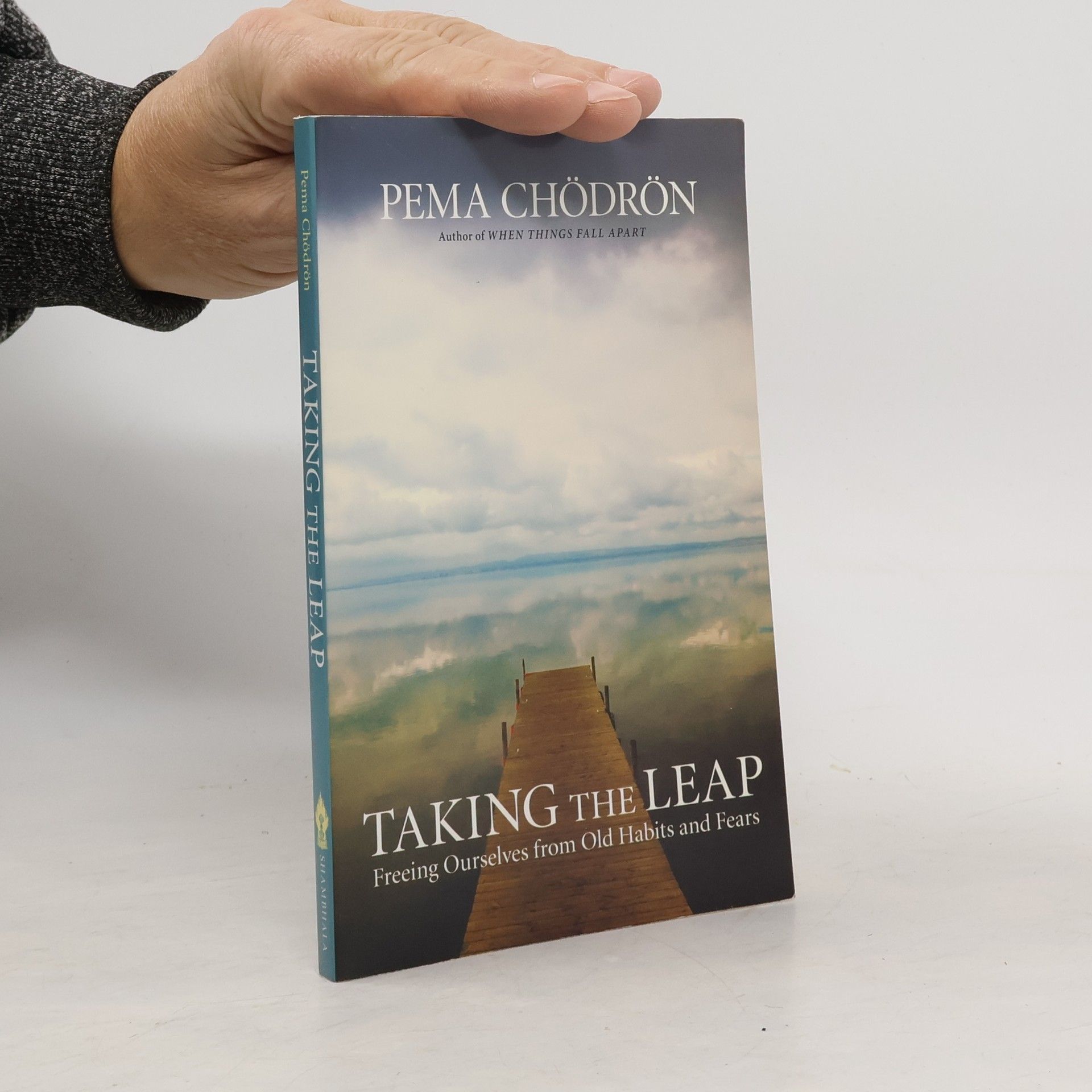 Pema Chödrön Taking the Leap