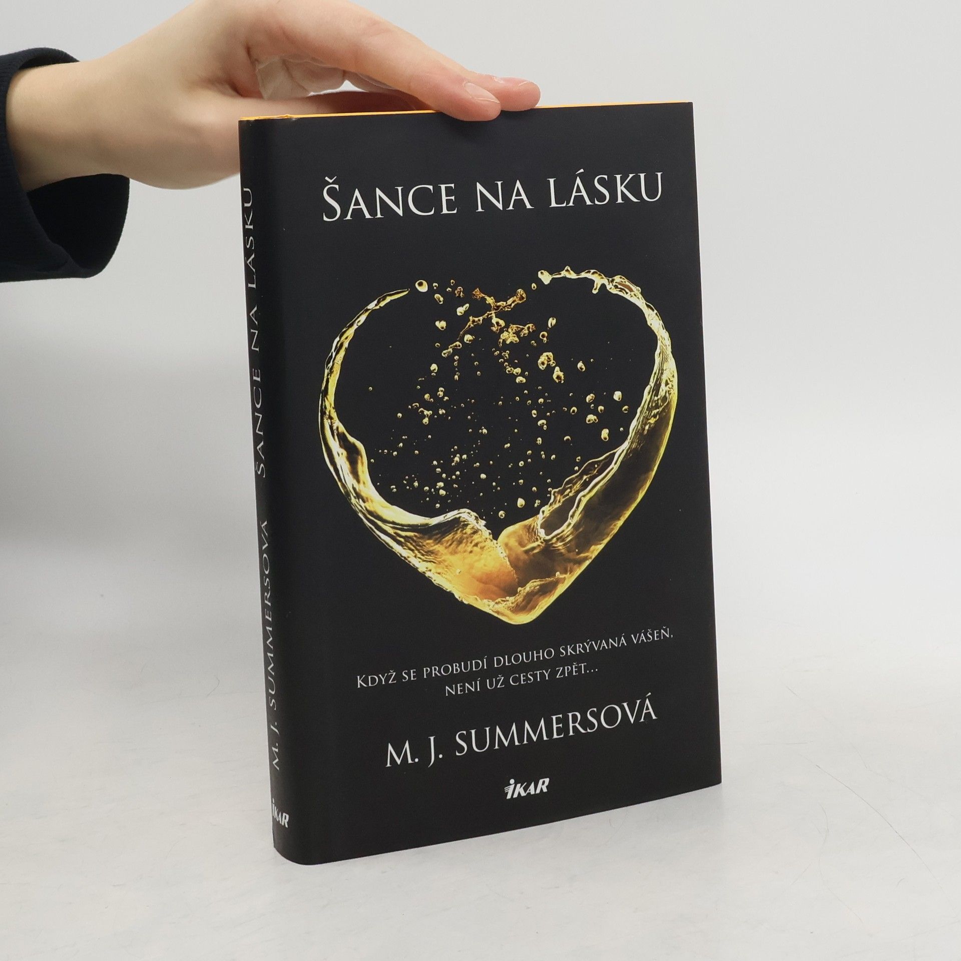 M. J. Summers Šance na lásku