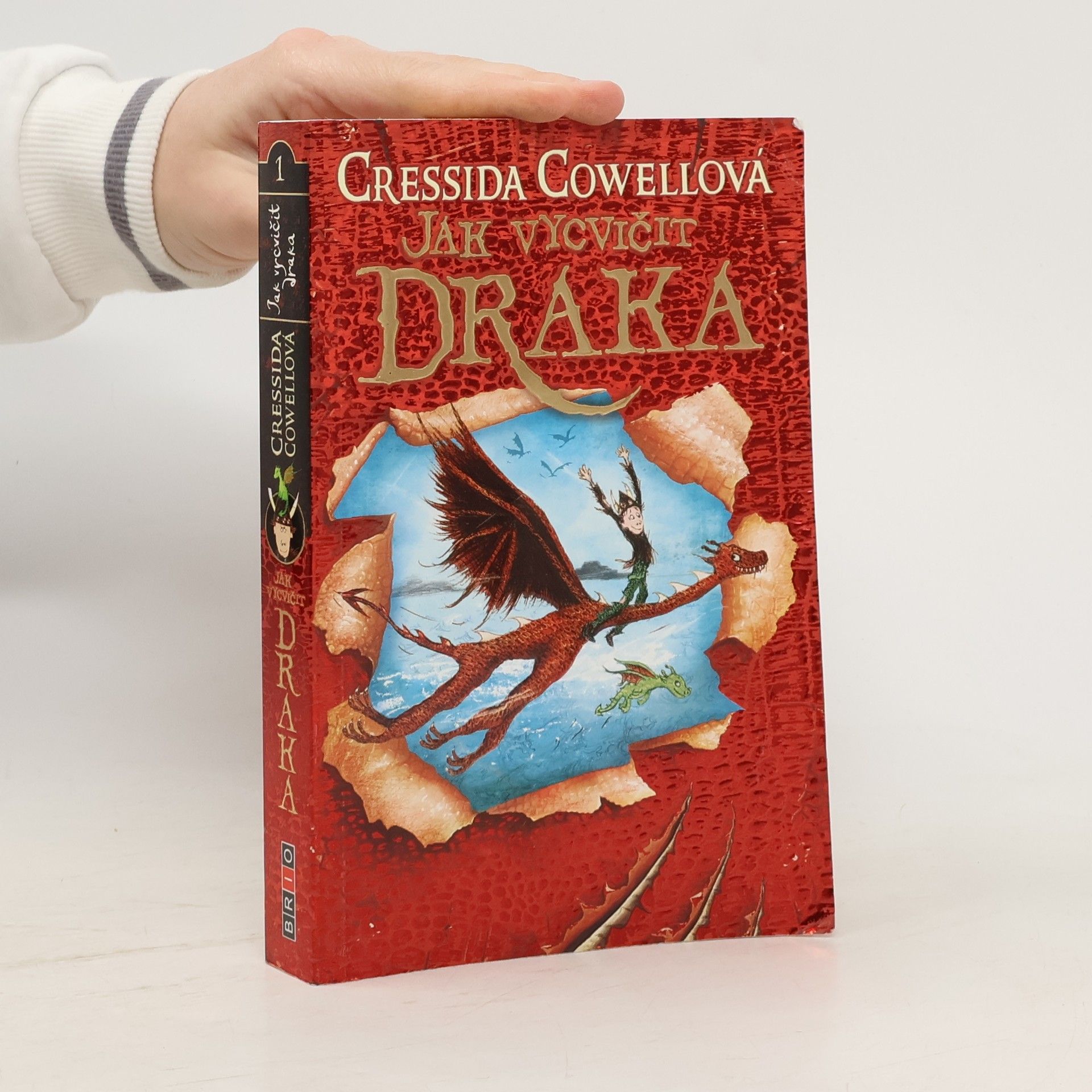 Cressida Cowell Jak vycvičit draka