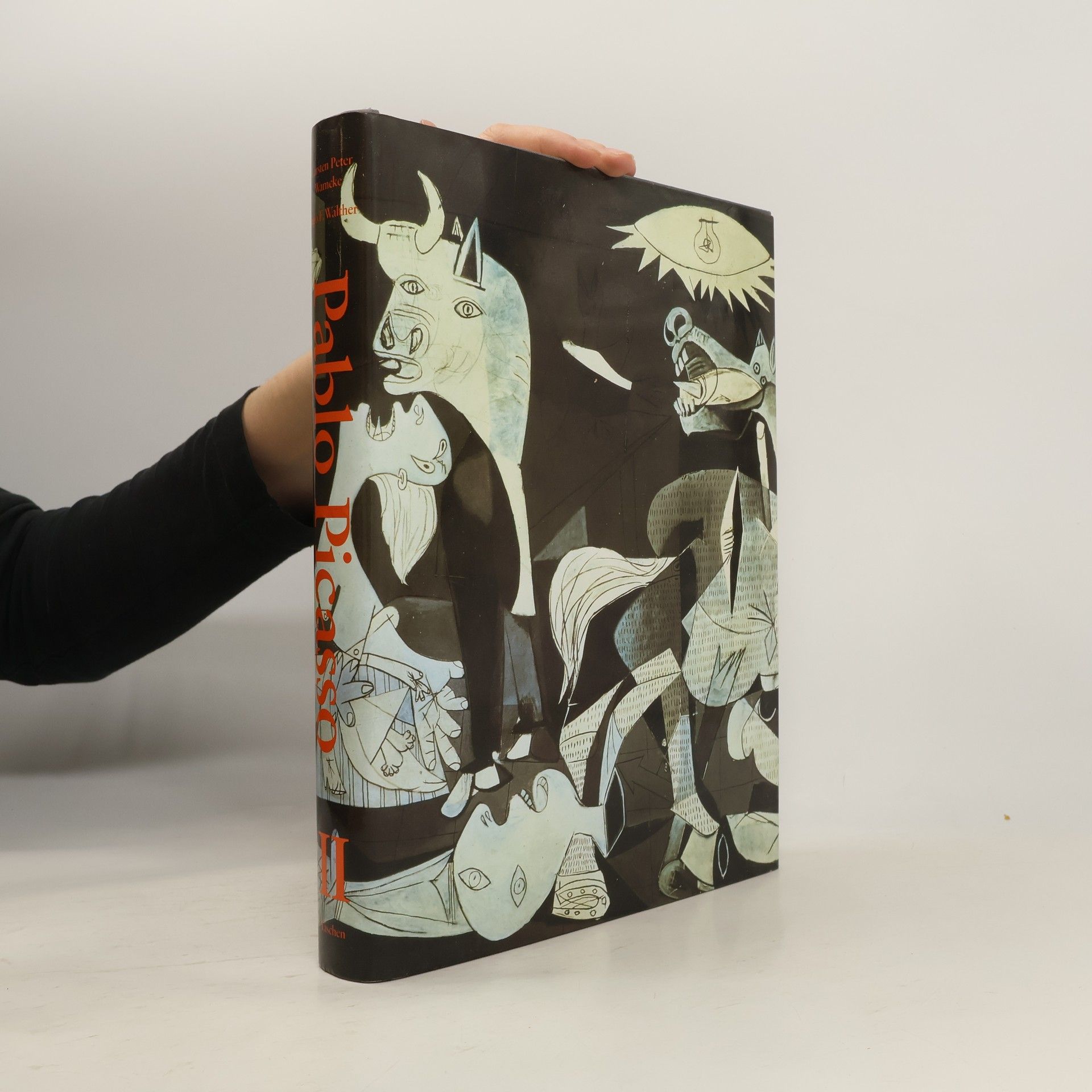 Autorenkollektiv Pablo Picasso II