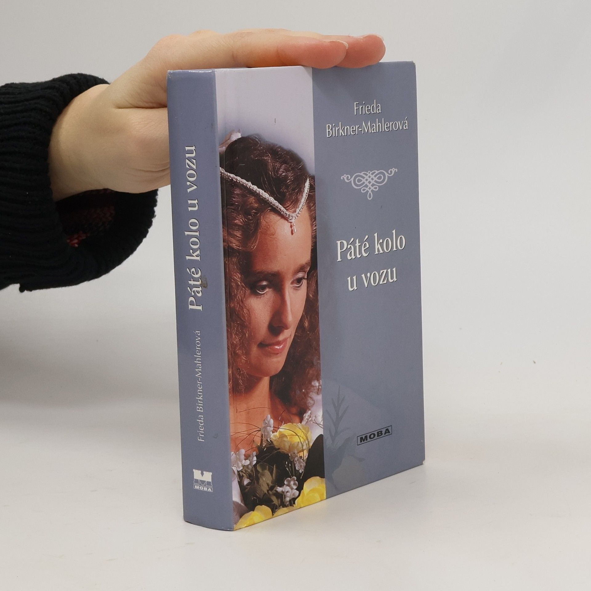 Friede Birkner Páté kolo u vozu