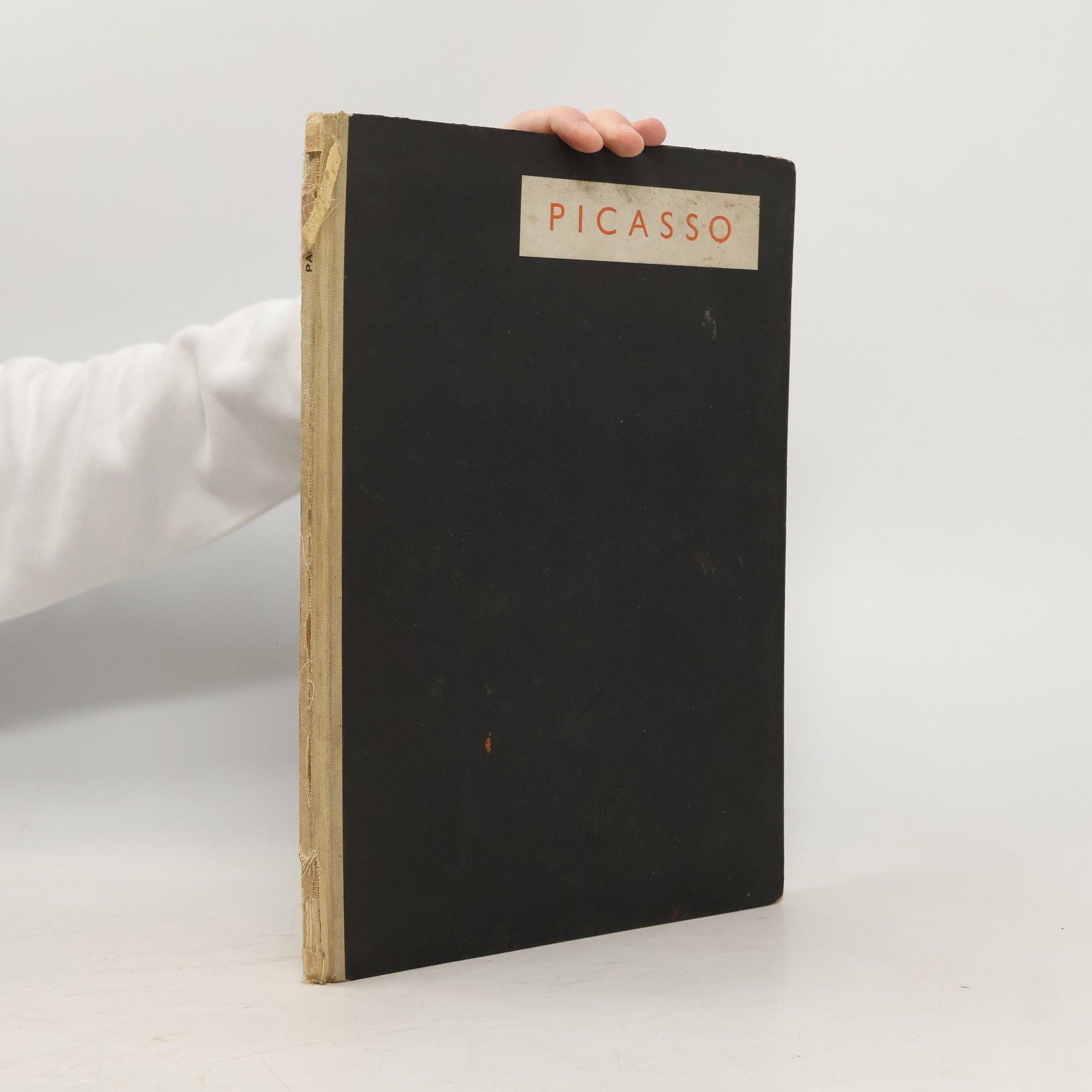 Autorenkollektiv Pablo Picasso