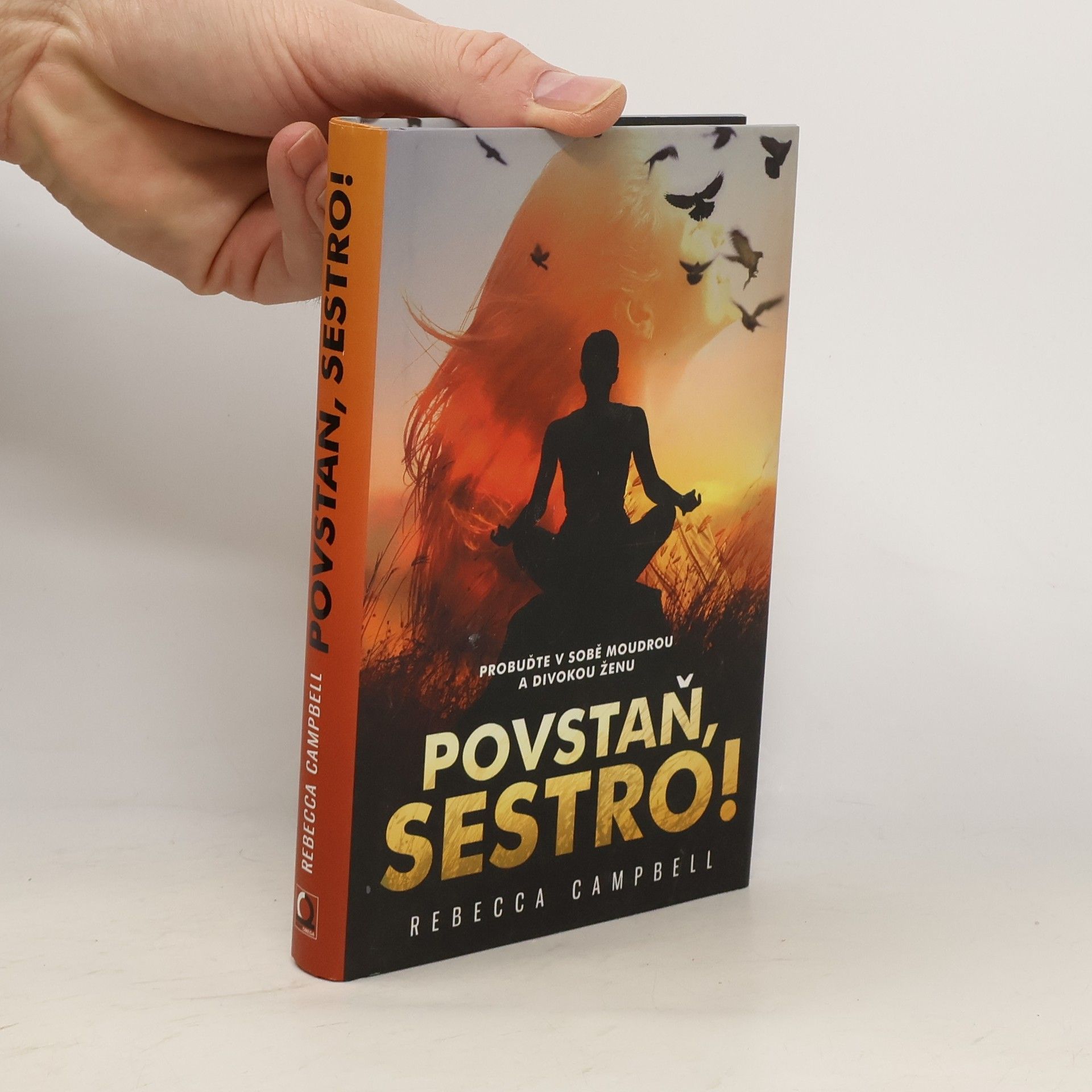 Rebecca Campbell Povstaň, sestro!