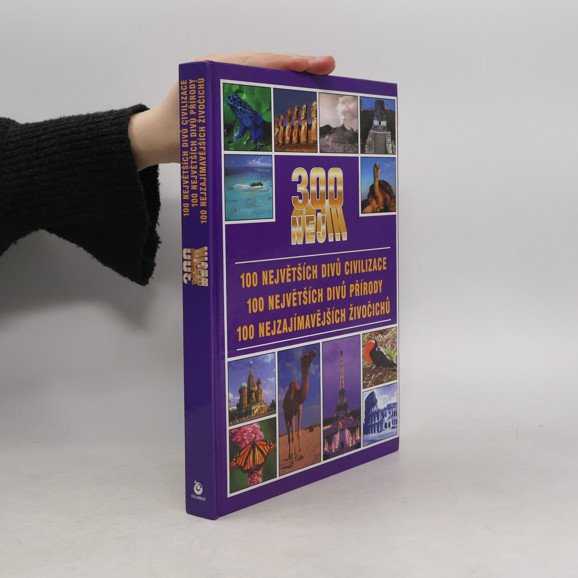 Collectif d'auteurs 300 nej...