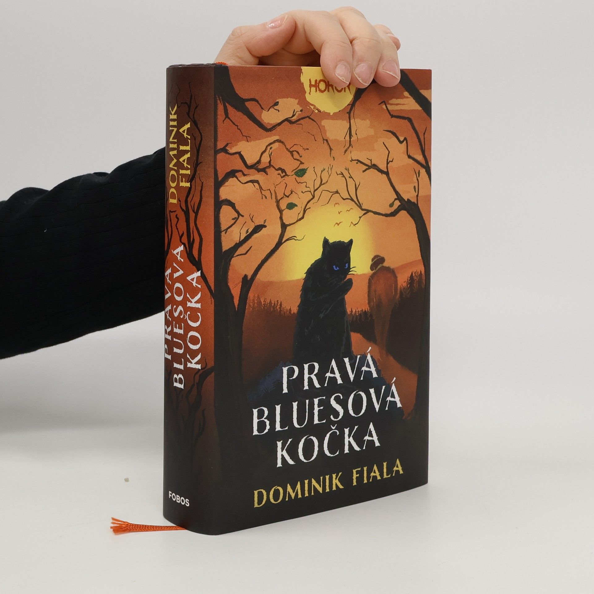 Dominik Fiala Pravá bluesová kočka