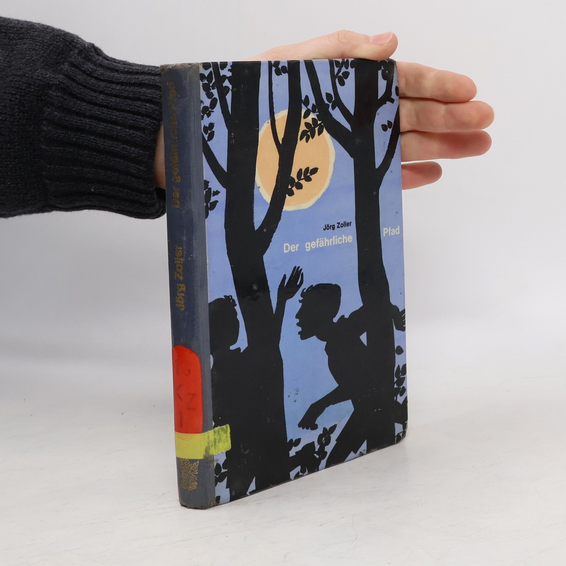 Jorg Zoller Der gefährliche Pfad
