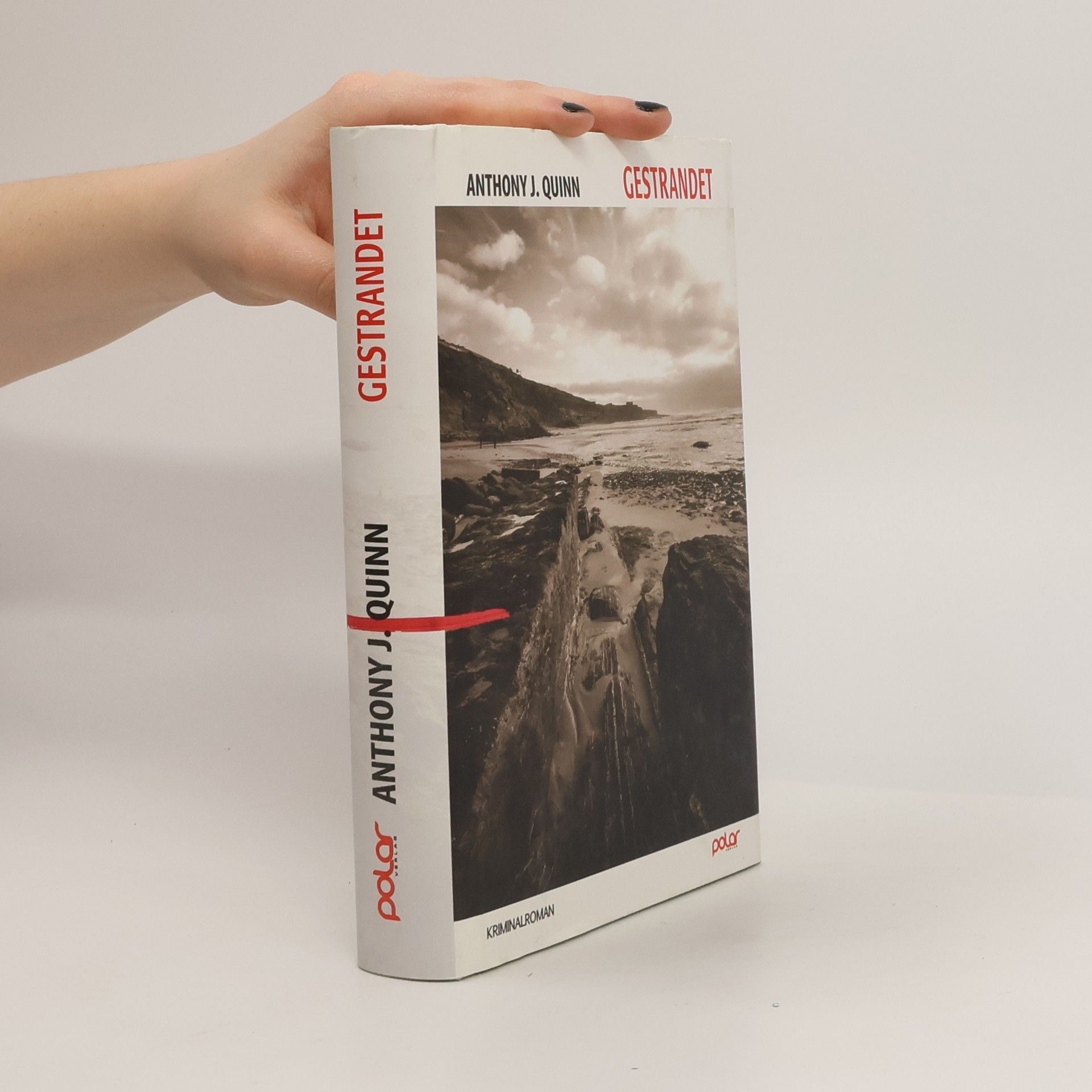 Anthony J. Quinn Inspector Celcius Daly: Gestrandet