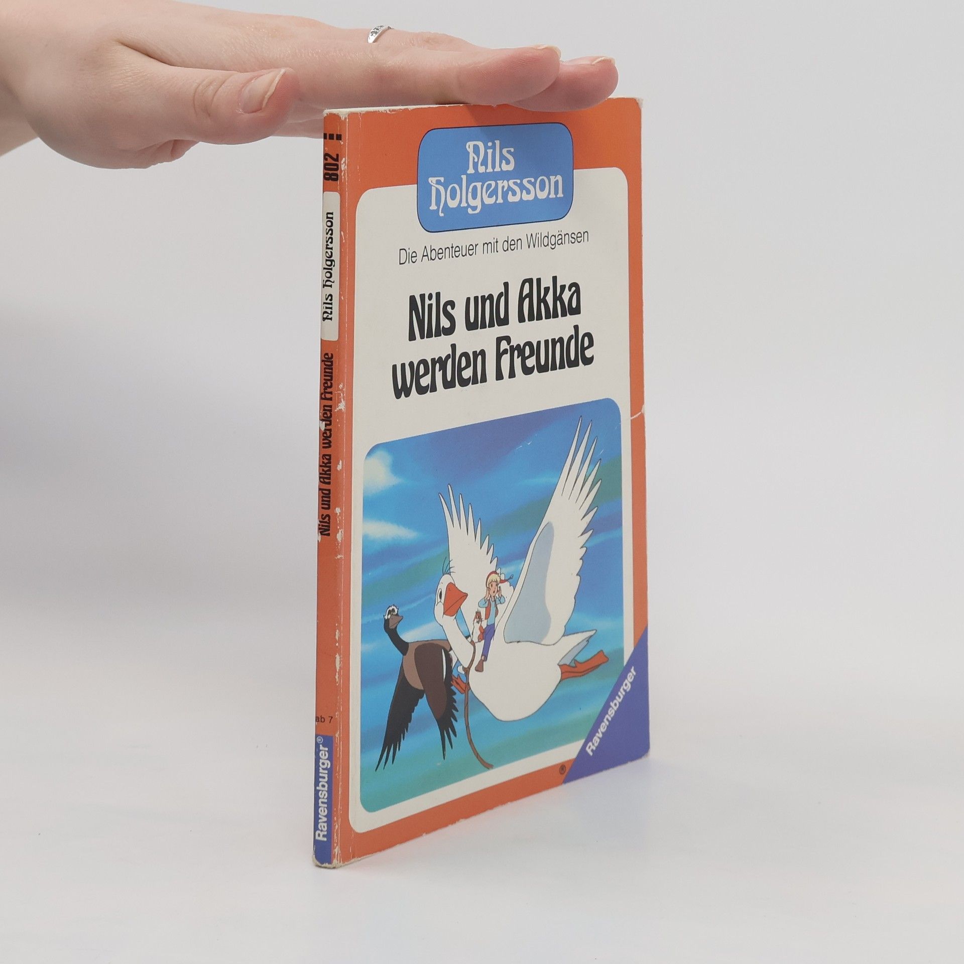 Nils Holgersson Nils und Akka werden Freunde