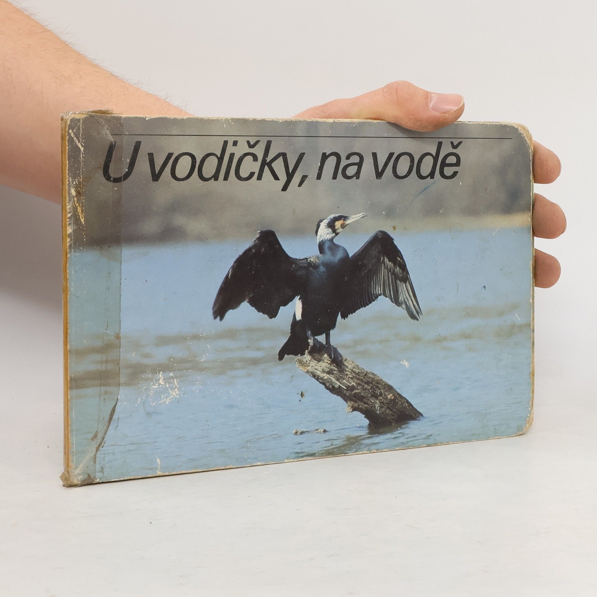 Autorenkollektiv U vodičky, na vodě