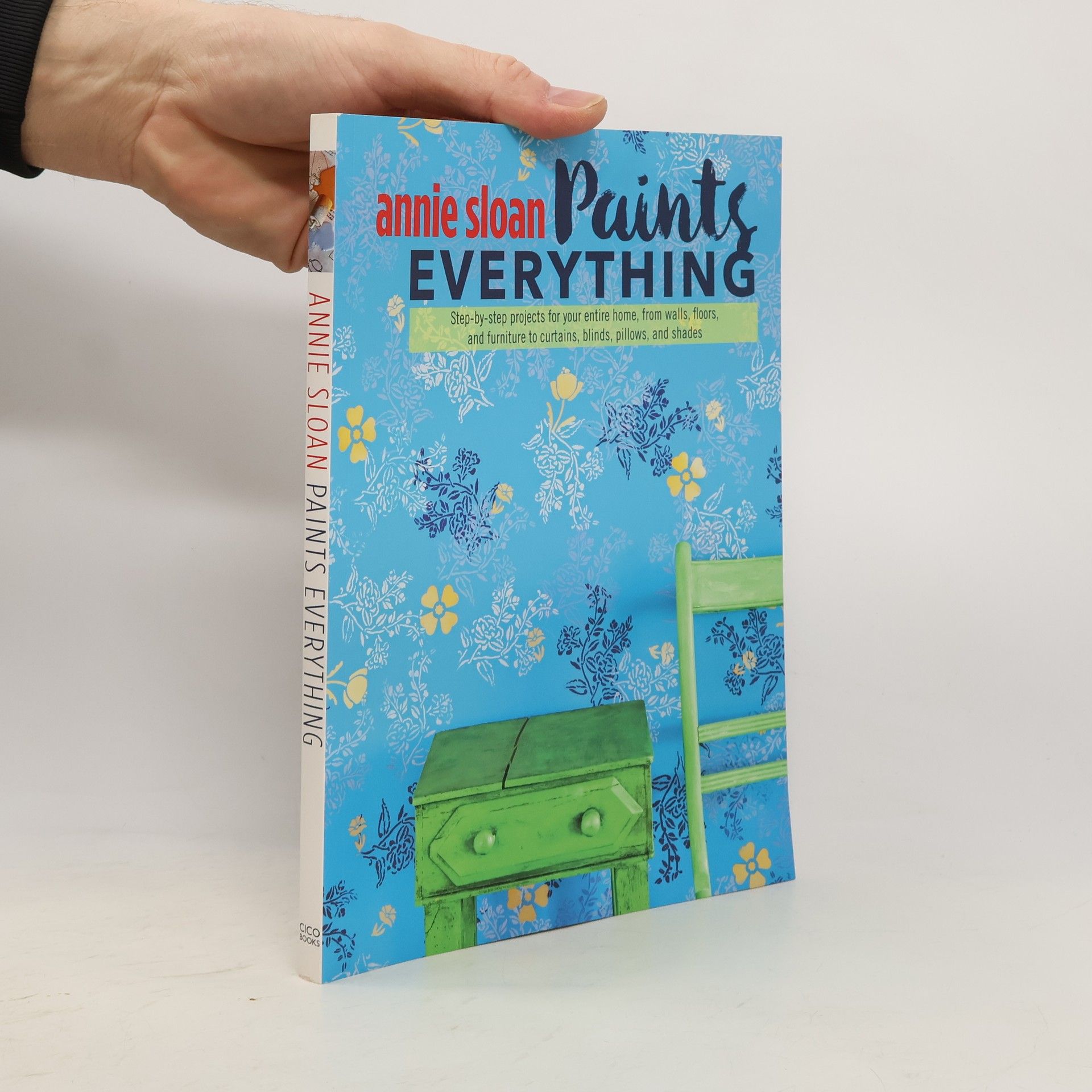 Annie Sloan Annie Sloan Paints Everything