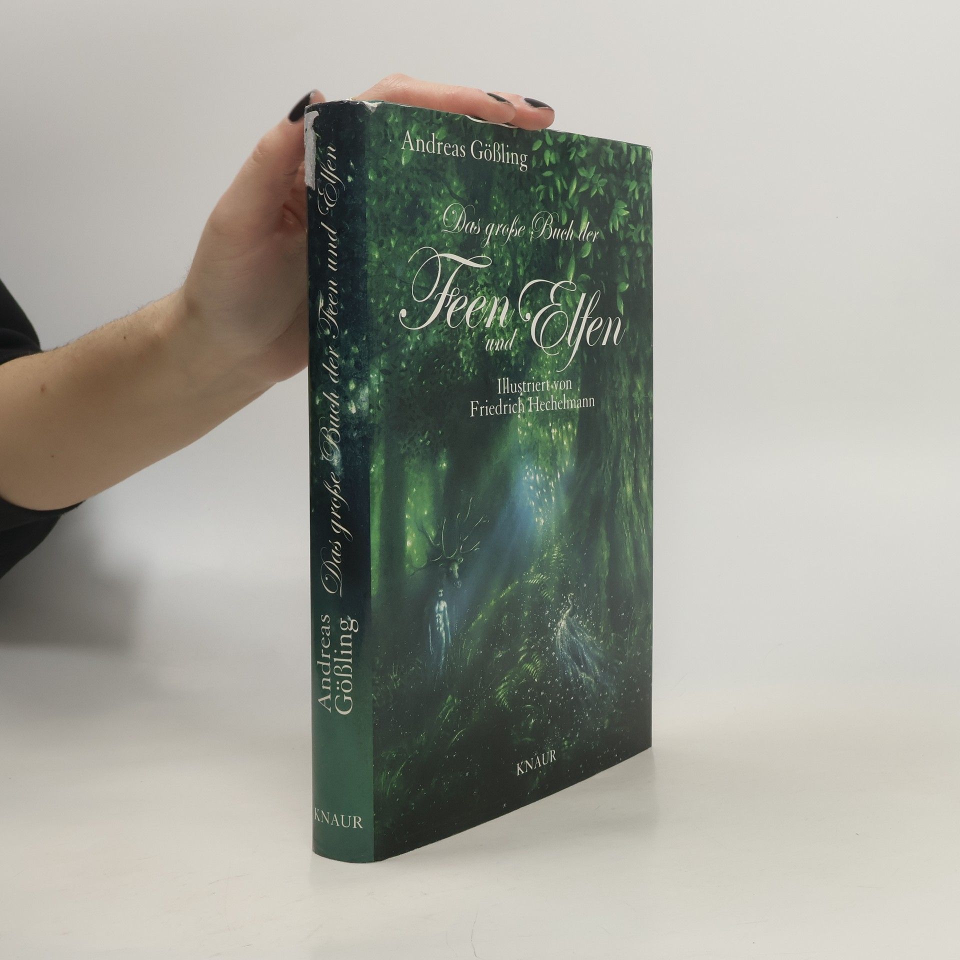 Andreas Gößling Das große Buch der Feen und Elfen