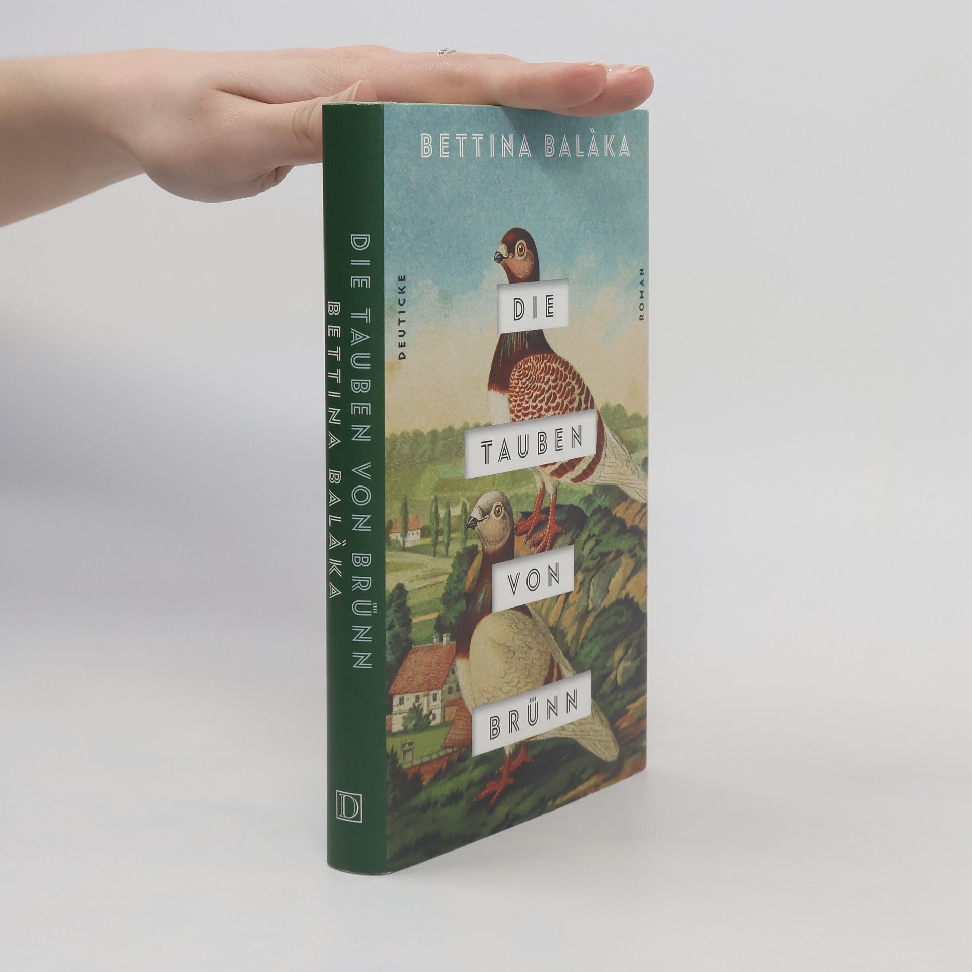 Die Tauben von Brünn