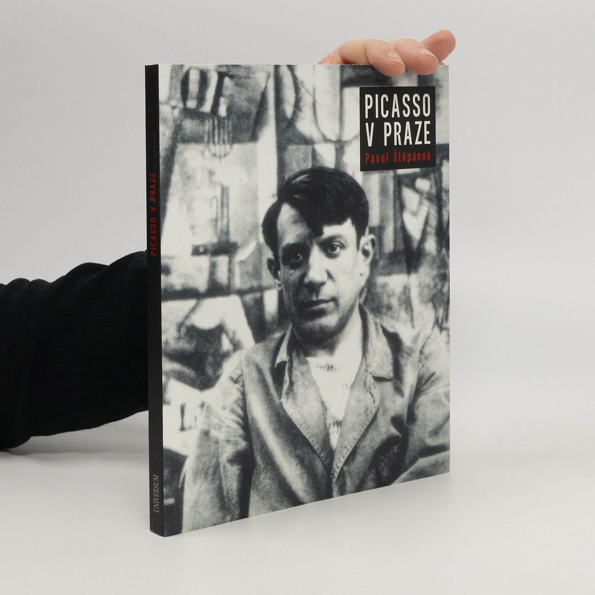 Pavel Stepanek Picasso v Praze