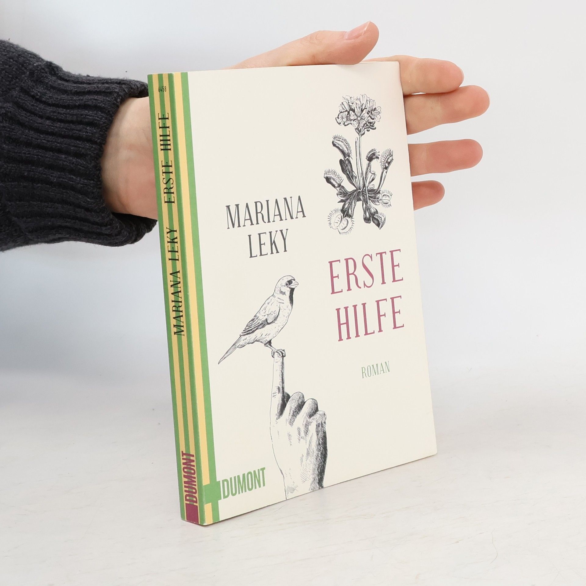 Mariana Leky Erste Hilfe