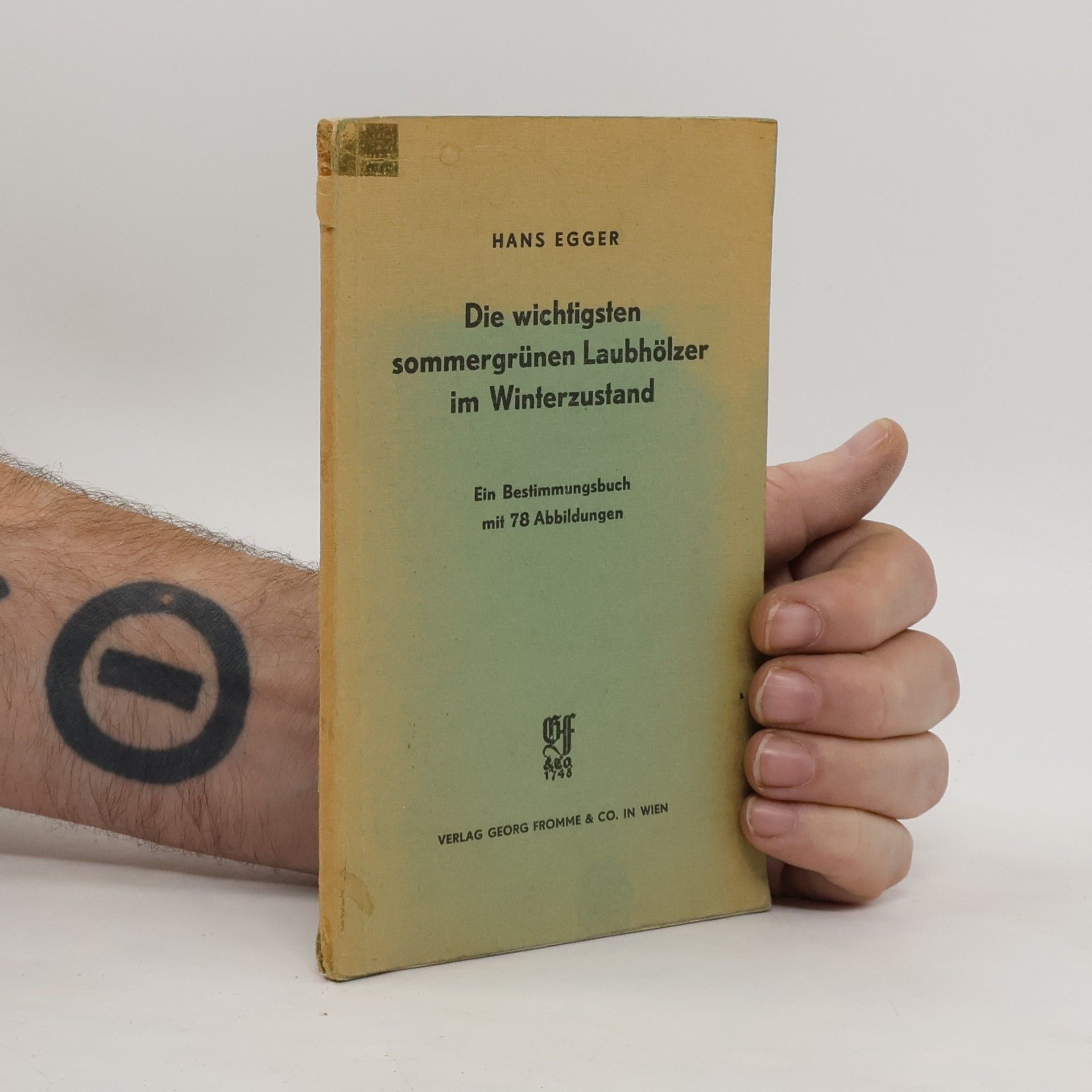 Die wichtigsten sommergrünen Laubhölzer im Winterzustand