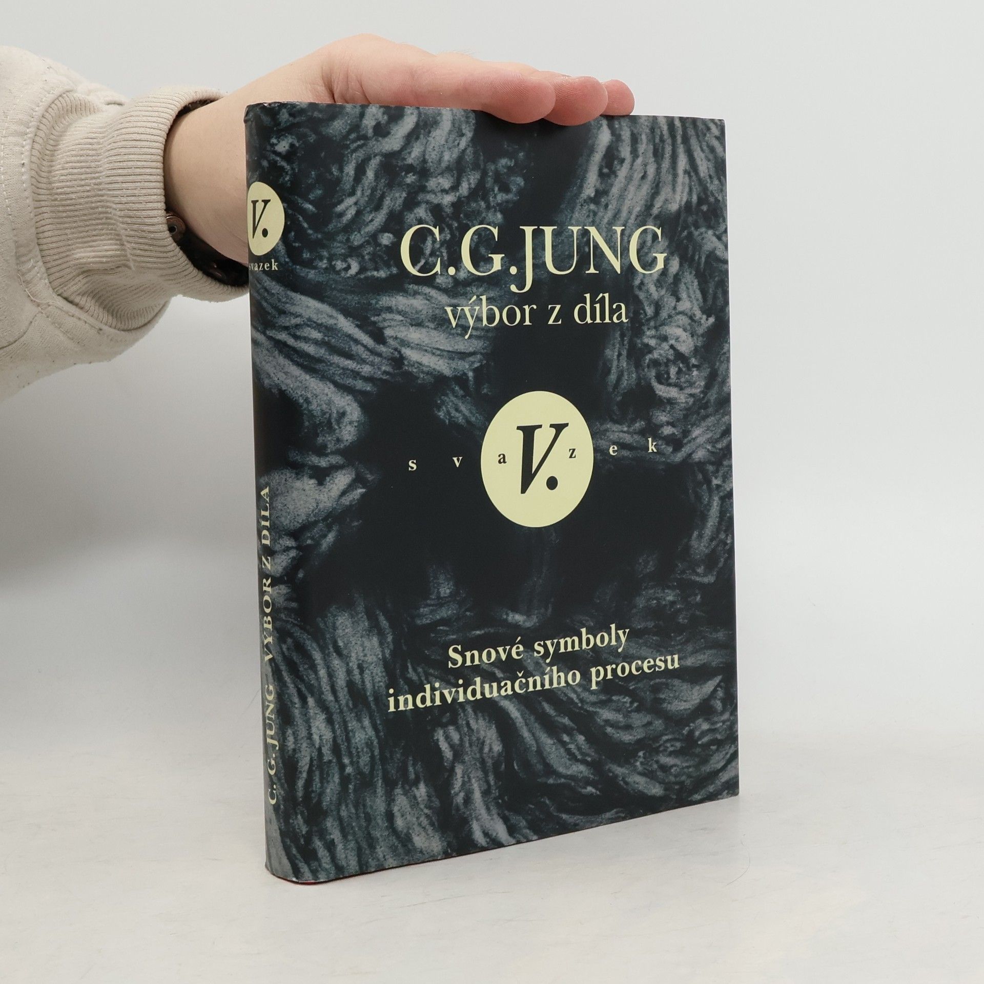 Carl Gustav Jung Výbor z díla V.