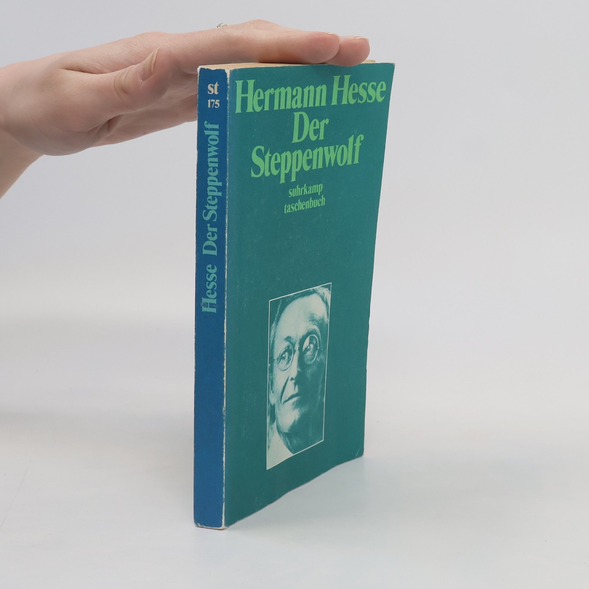 Hermann Hesse Der Steppenwolf