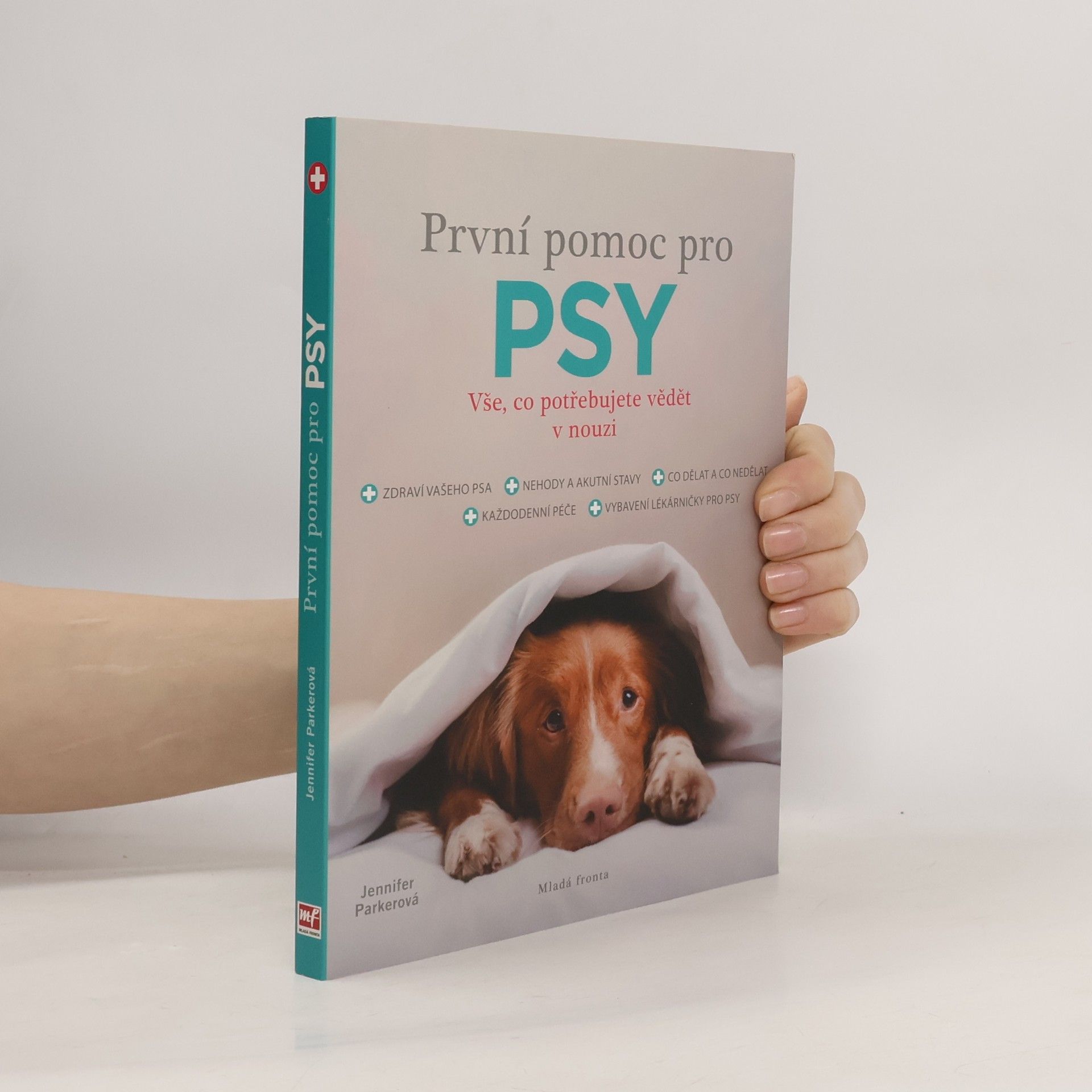 První pomoc pro psy: Vše, co potřebujete vědět v nouzi